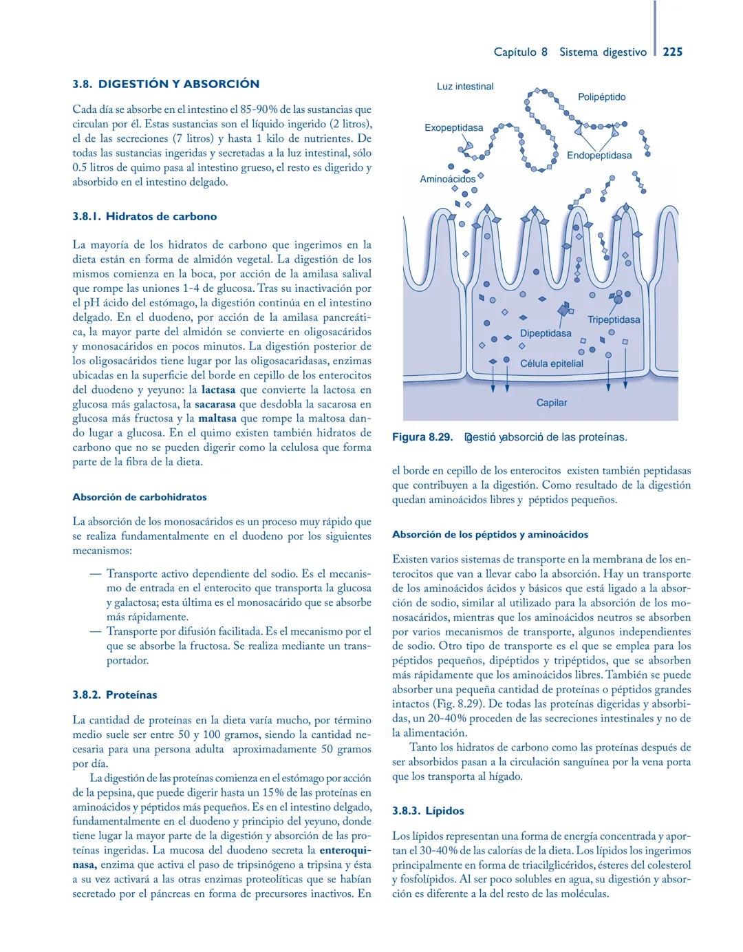 # Anatomía y fisiología del

## ■ CUERPO HUMANO

Jesús A. F. Tresguerres

Mª Ángeles Villanúa Bernués

Asunción López-Calderón Barreda

Mc
G