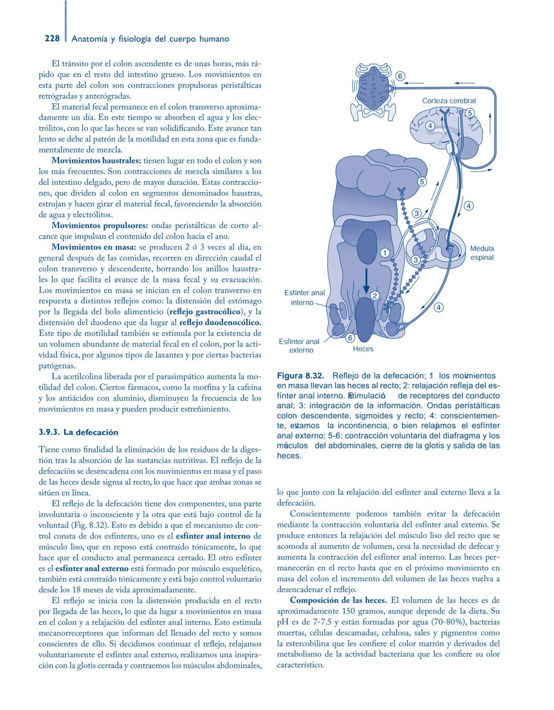 # Anatomía y fisiología del

## ■ CUERPO HUMANO

Jesús A. F. Tresguerres

Mª Ángeles Villanúa Bernués

Asunción López-Calderón Barreda

Mc
G