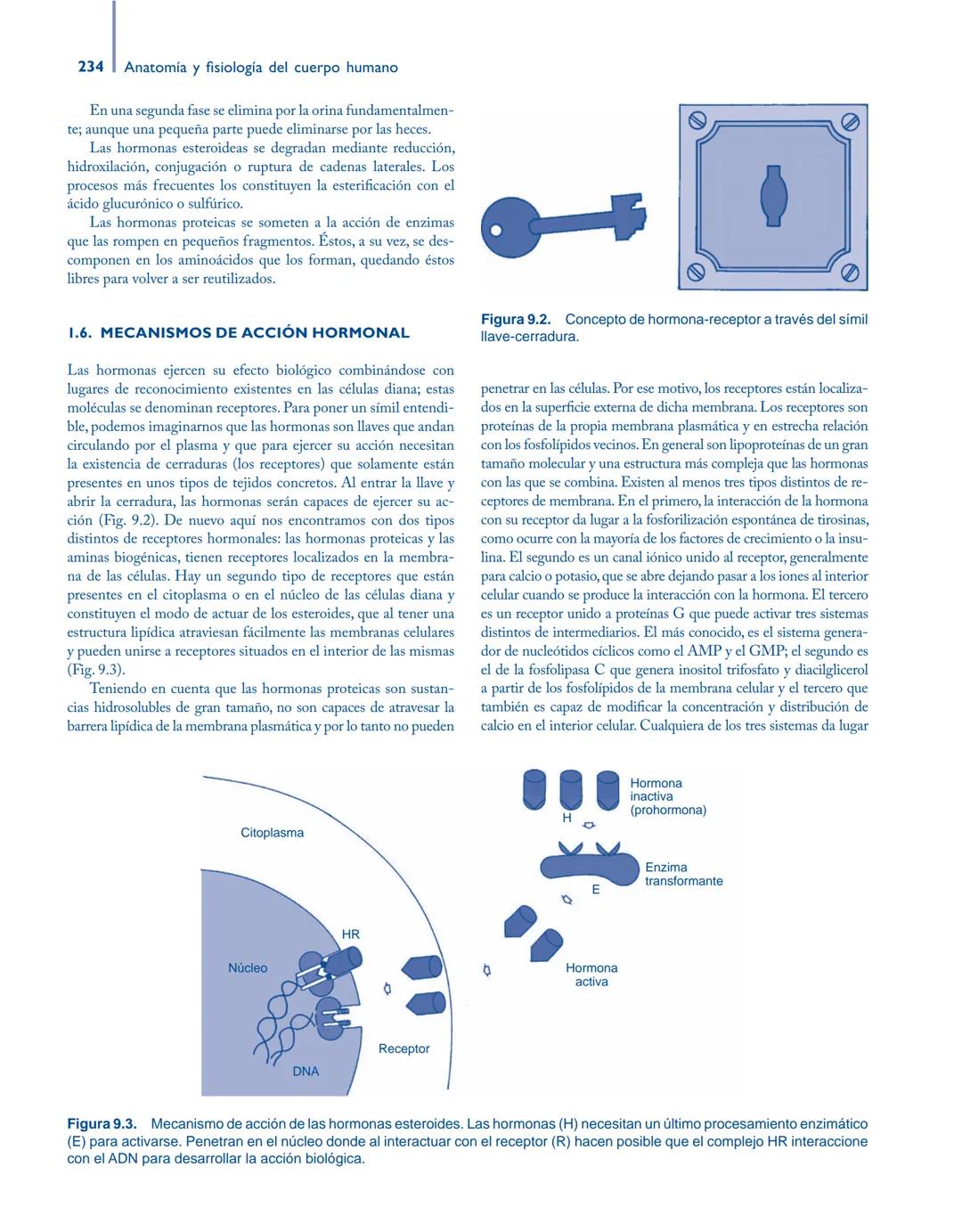 # Anatomía y fisiología del

## ■ CUERPO HUMANO

Jesús A. F. Tresguerres

Mª Ángeles Villanúa Bernués

Asunción López-Calderón Barreda

Mc
G