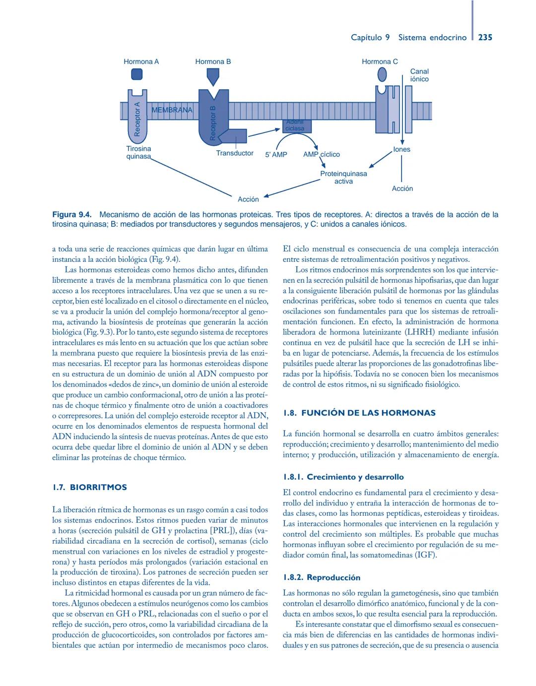 # Anatomía y fisiología del

## ■ CUERPO HUMANO

Jesús A. F. Tresguerres

Mª Ángeles Villanúa Bernués

Asunción López-Calderón Barreda

Mc
G