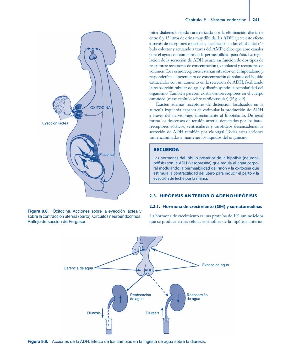 # Anatomía y fisiología del

## ■ CUERPO HUMANO

Jesús A. F. Tresguerres

Mª Ángeles Villanúa Bernués

Asunción López-Calderón Barreda

Mc
G