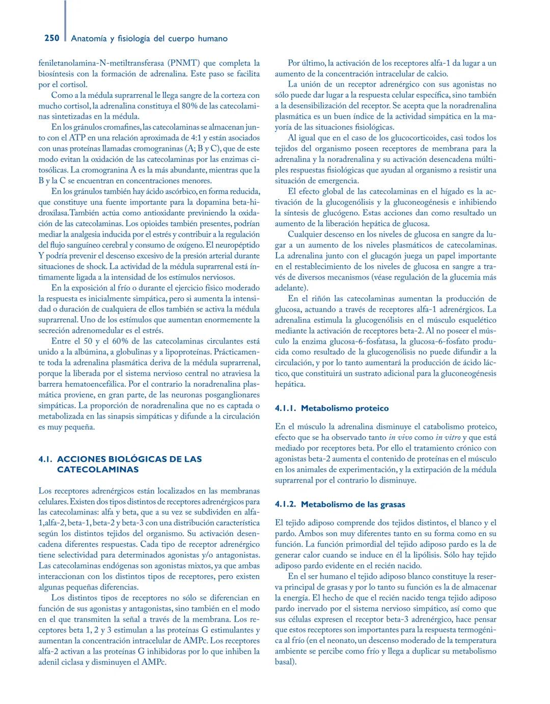 # Anatomía y fisiología del

## ■ CUERPO HUMANO

Jesús A. F. Tresguerres

Mª Ángeles Villanúa Bernués

Asunción López-Calderón Barreda

Mc
G