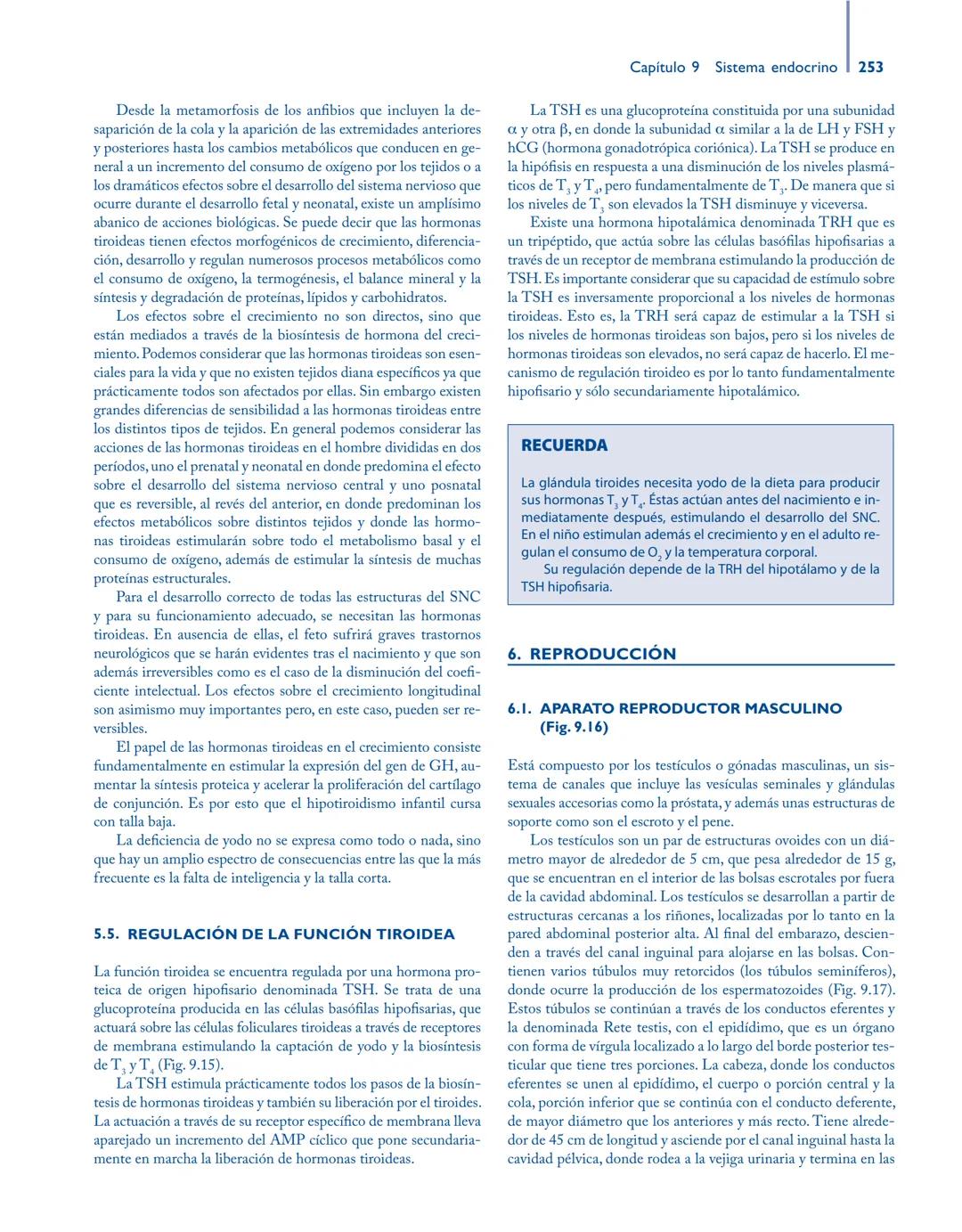 # Anatomía y fisiología del

## ■ CUERPO HUMANO

Jesús A. F. Tresguerres

Mª Ángeles Villanúa Bernués

Asunción López-Calderón Barreda

Mc
G