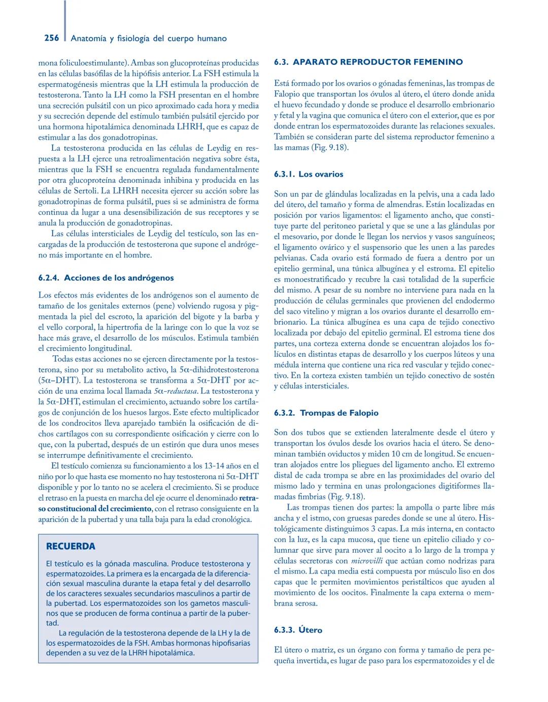 # Anatomía y fisiología del

## ■ CUERPO HUMANO

Jesús A. F. Tresguerres

Mª Ángeles Villanúa Bernués

Asunción López-Calderón Barreda

Mc
G