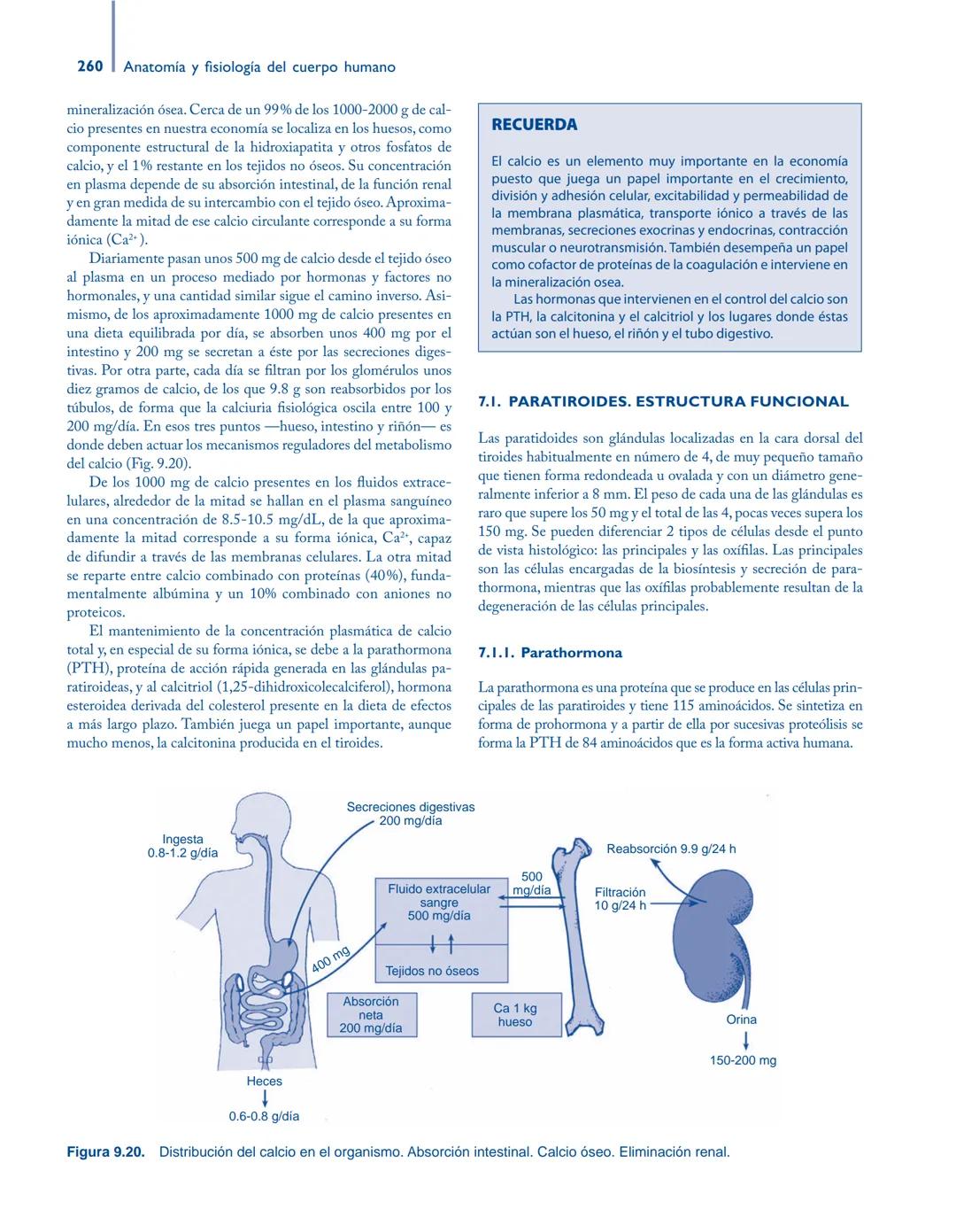 # Anatomía y fisiología del

## ■ CUERPO HUMANO

Jesús A. F. Tresguerres

Mª Ángeles Villanúa Bernués

Asunción López-Calderón Barreda

Mc
G