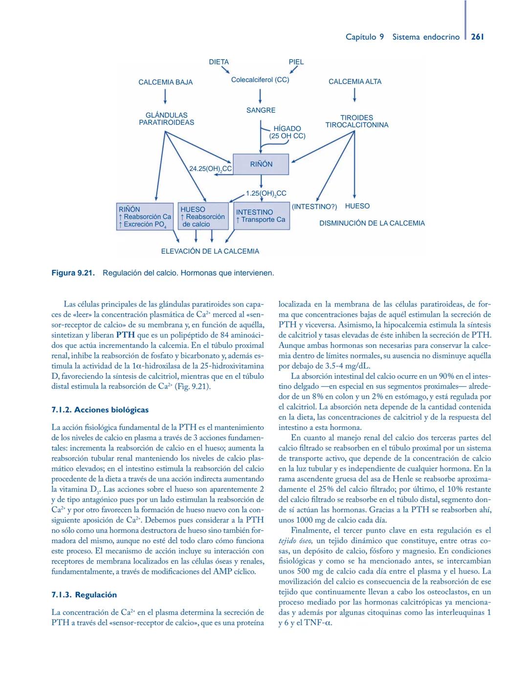 # Anatomía y fisiología del

## ■ CUERPO HUMANO

Jesús A. F. Tresguerres

Mª Ángeles Villanúa Bernués

Asunción López-Calderón Barreda

Mc
G