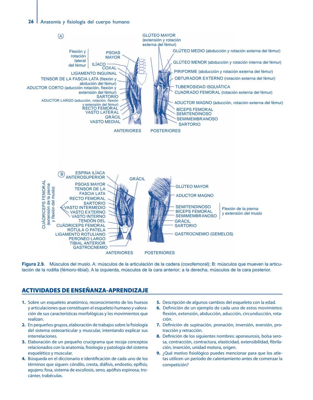 # Anatomía y fisiología del

## ■ CUERPO HUMANO

Jesús A. F. Tresguerres

Mª Ángeles Villanúa Bernués

Asunción López-Calderón Barreda

Mc
G