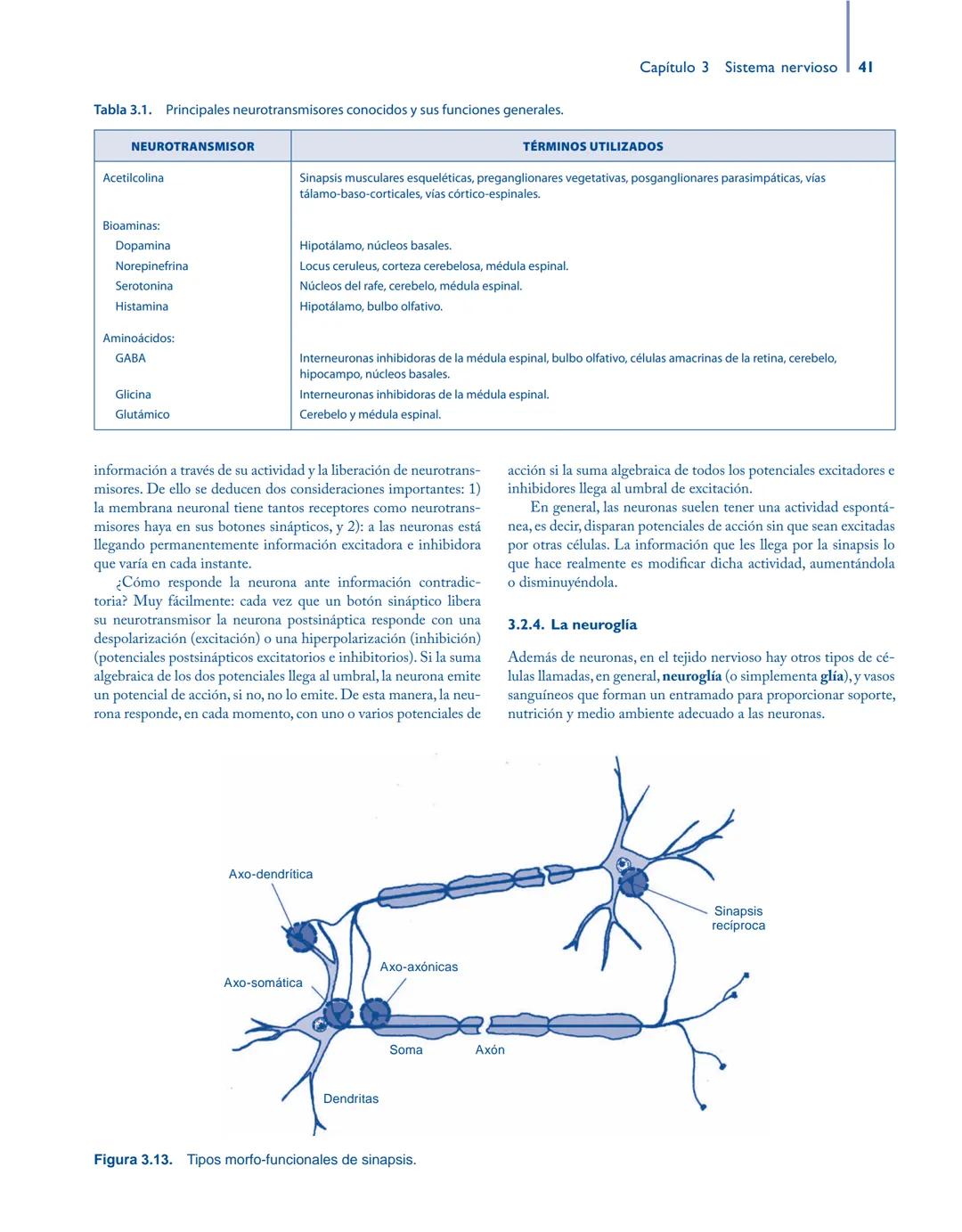 # Anatomía y fisiología del

## ■ CUERPO HUMANO

Jesús A. F. Tresguerres

Mª Ángeles Villanúa Bernués

Asunción López-Calderón Barreda

Mc
G