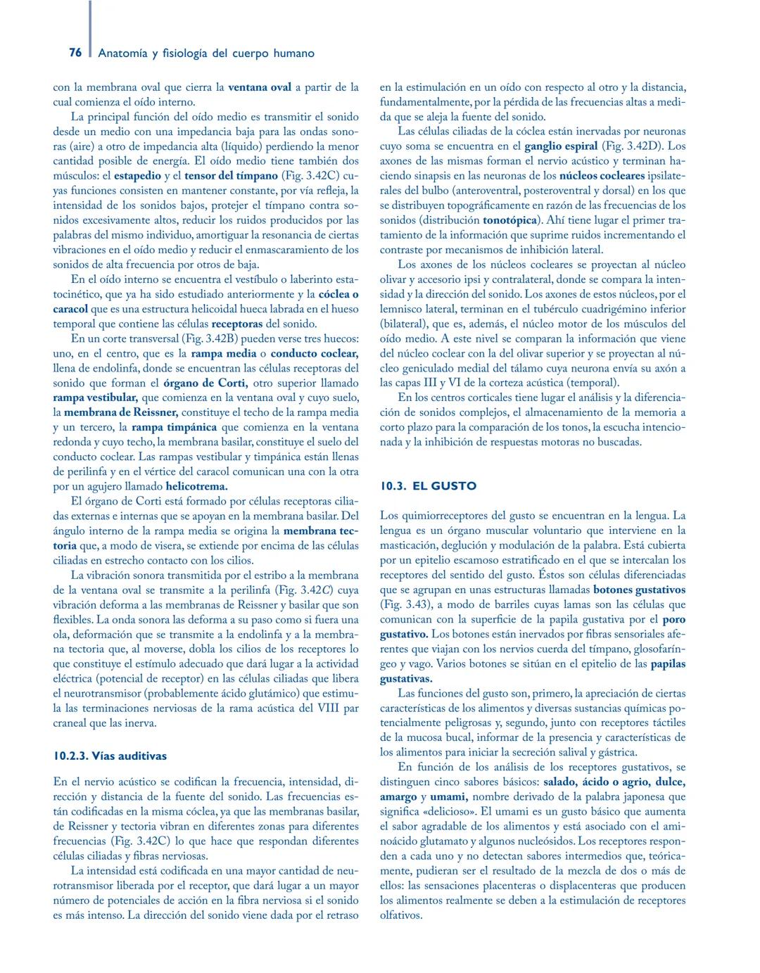# Anatomía y fisiología del

## ■ CUERPO HUMANO

Jesús A. F. Tresguerres

Mª Ángeles Villanúa Bernués

Asunción López-Calderón Barreda

Mc
G