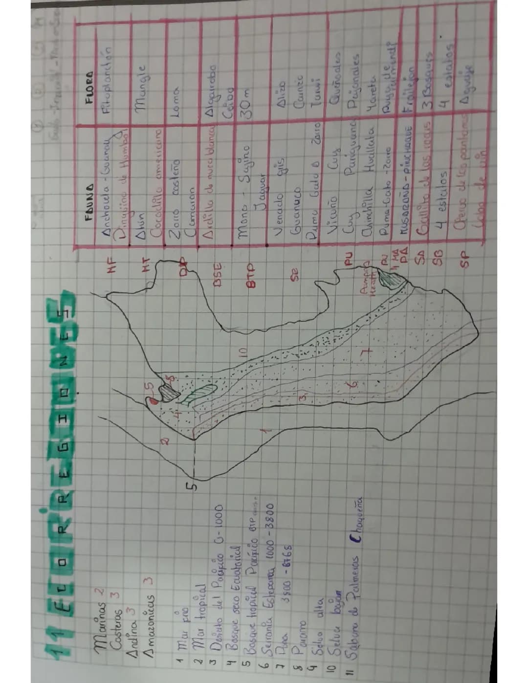 Geografía 