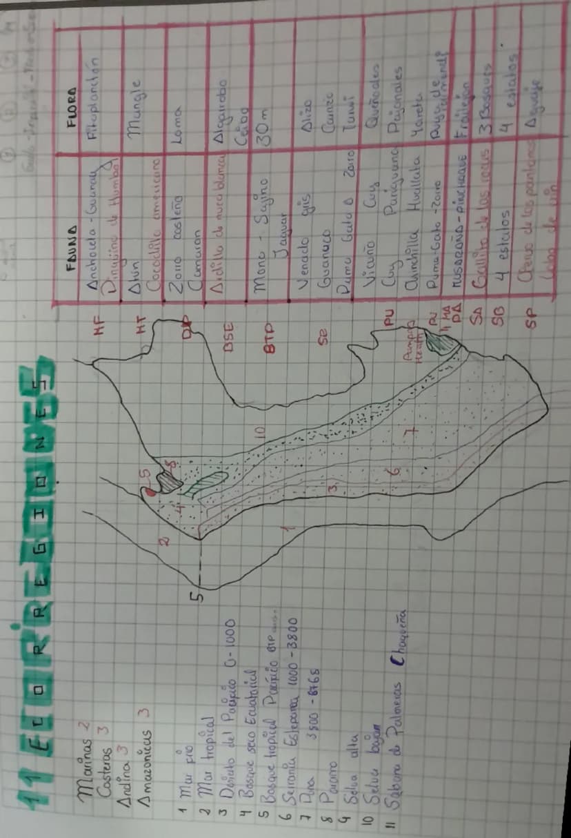 11 ECORREGENNES
Marinas
2
ما
Costeras 3
Andina 3
Amazonicas 3
0
1 Mar Fro
2 Mar tropical
3 Desierto del Pacifico 0-1000
S
4 Bosque seco Ecua