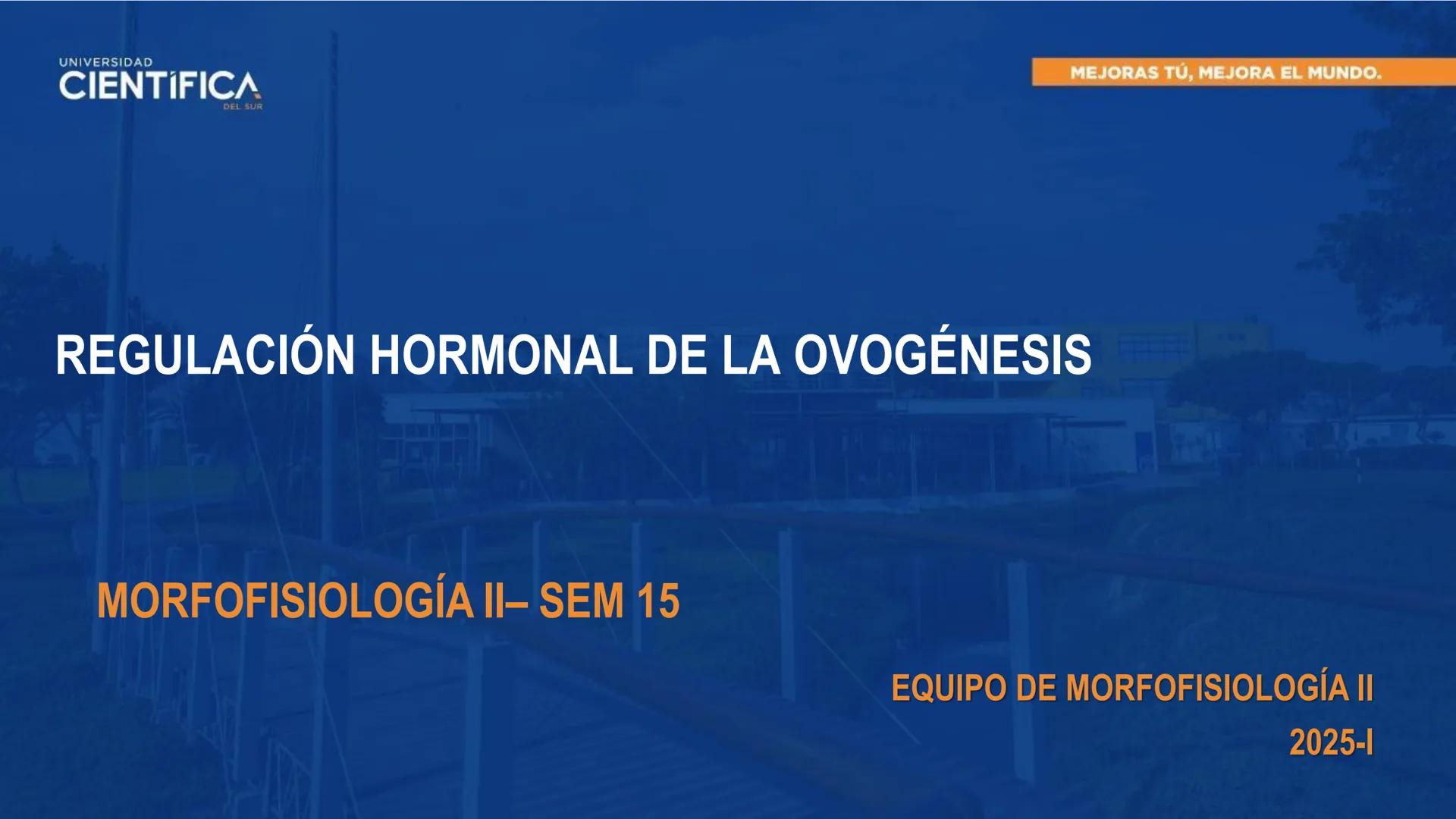 UNIVERSIDAD
CIENTÍFICA
DEL SUR
MEJORAS TÚ, MEJORA EL MUNDO.
REGULACIÓN HORMONAL DE LA OVOGÉNESIS
MORFOFISIOLOGÍA II- SEM 15
EQUIPO DE MORFOF