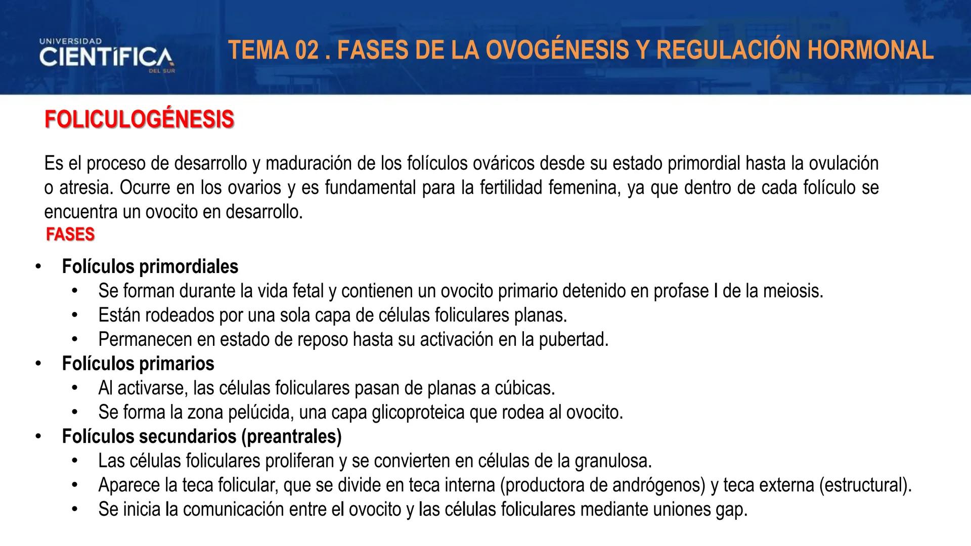 UNIVERSIDAD
CIENTÍFICA
DEL SUR
MEJORAS TÚ, MEJORA EL MUNDO.
REGULACIÓN HORMONAL DE LA OVOGÉNESIS
MORFOFISIOLOGÍA II- SEM 15
EQUIPO DE MORFOF