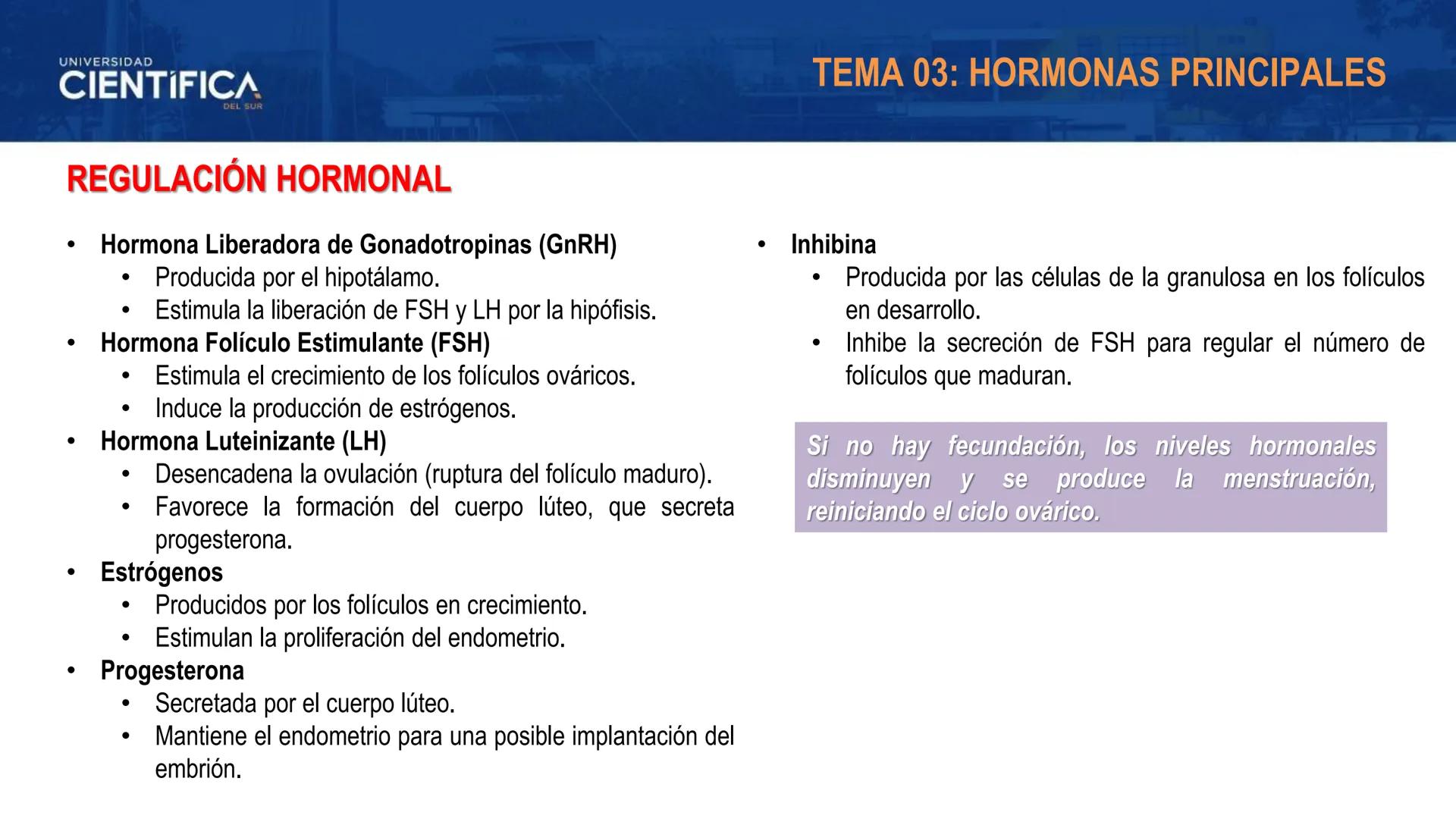 UNIVERSIDAD
CIENTÍFICA
DEL SUR
MEJORAS TÚ, MEJORA EL MUNDO.
REGULACIÓN HORMONAL DE LA OVOGÉNESIS
MORFOFISIOLOGÍA II- SEM 15
EQUIPO DE MORFOF