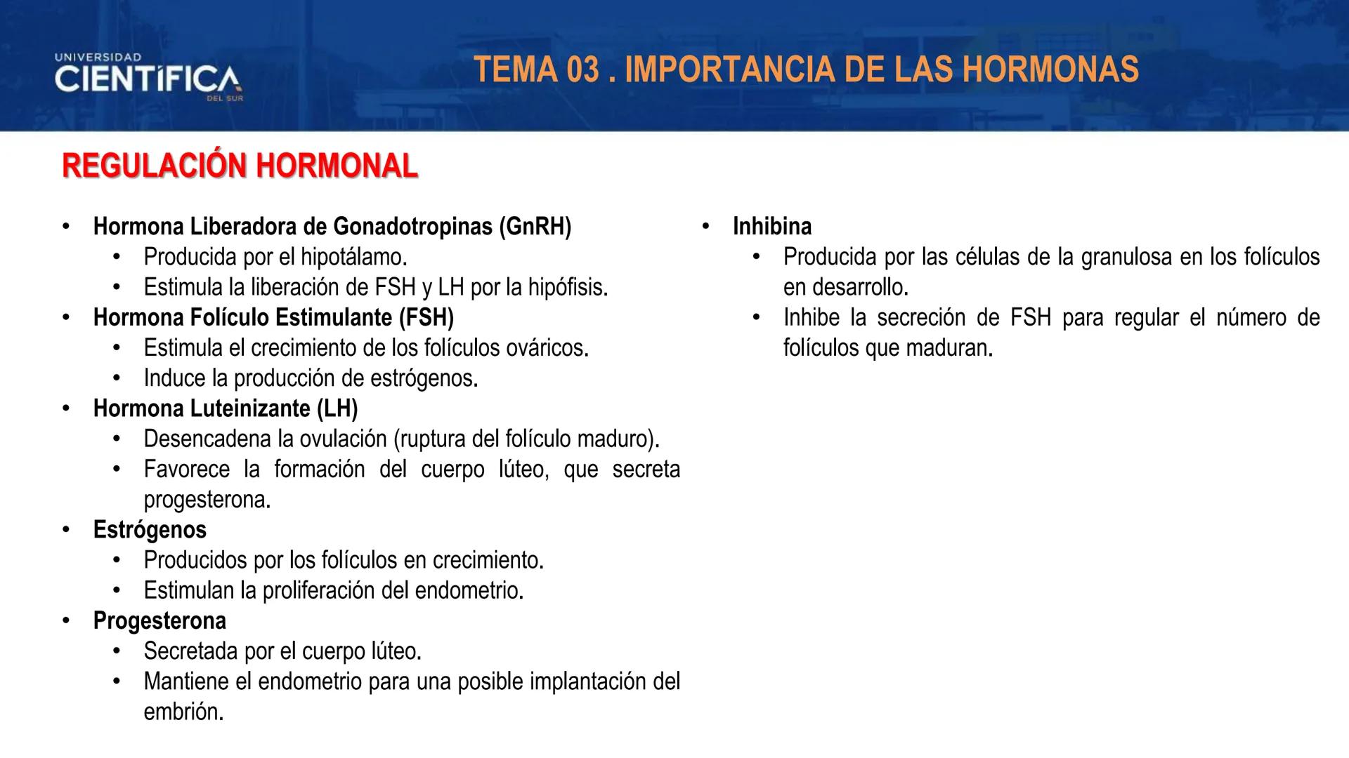 UNIVERSIDAD
CIENTÍFICA
DEL SUR
MEJORAS TÚ, MEJORA EL MUNDO.
REGULACIÓN HORMONAL DE LA OVOGÉNESIS
MORFOFISIOLOGÍA II- SEM 15
EQUIPO DE MORFOF
