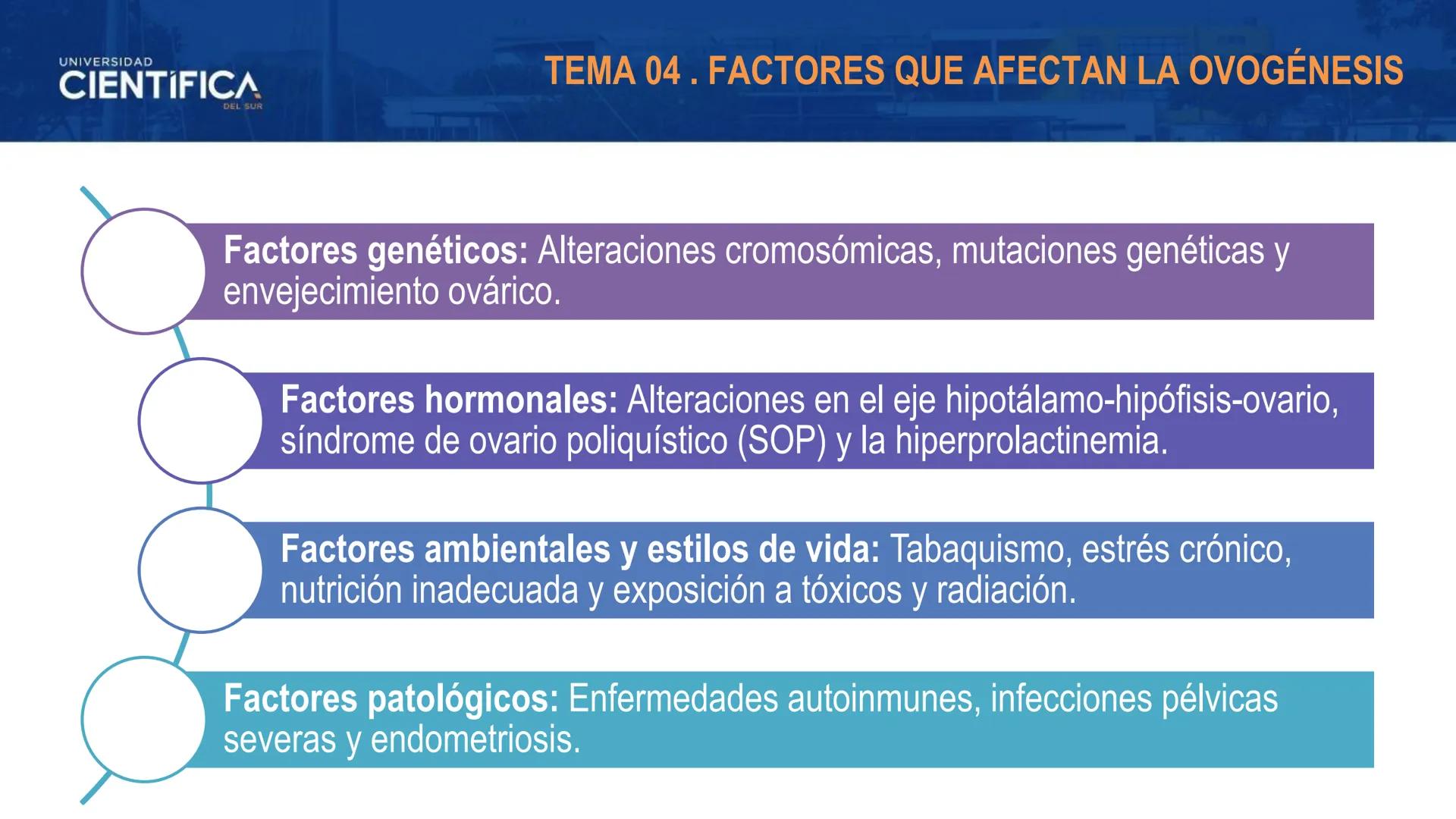 UNIVERSIDAD
CIENTÍFICA
DEL SUR
MEJORAS TÚ, MEJORA EL MUNDO.
REGULACIÓN HORMONAL DE LA OVOGÉNESIS
MORFOFISIOLOGÍA II- SEM 15
EQUIPO DE MORFOF