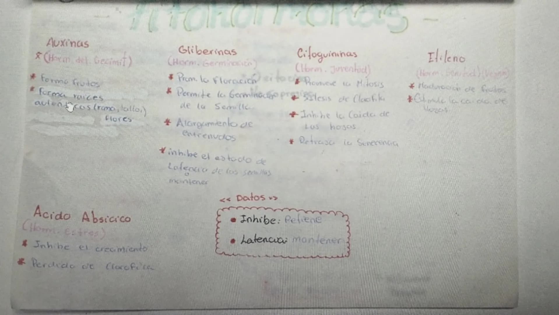 --- OCR Start ---
Auxinas
*(Horm del Gecimit)
* forma frutos
#forma raices
autenticos (ramo, tallo.)
Flores
Gliberinas
(Horm. Germinación)
C