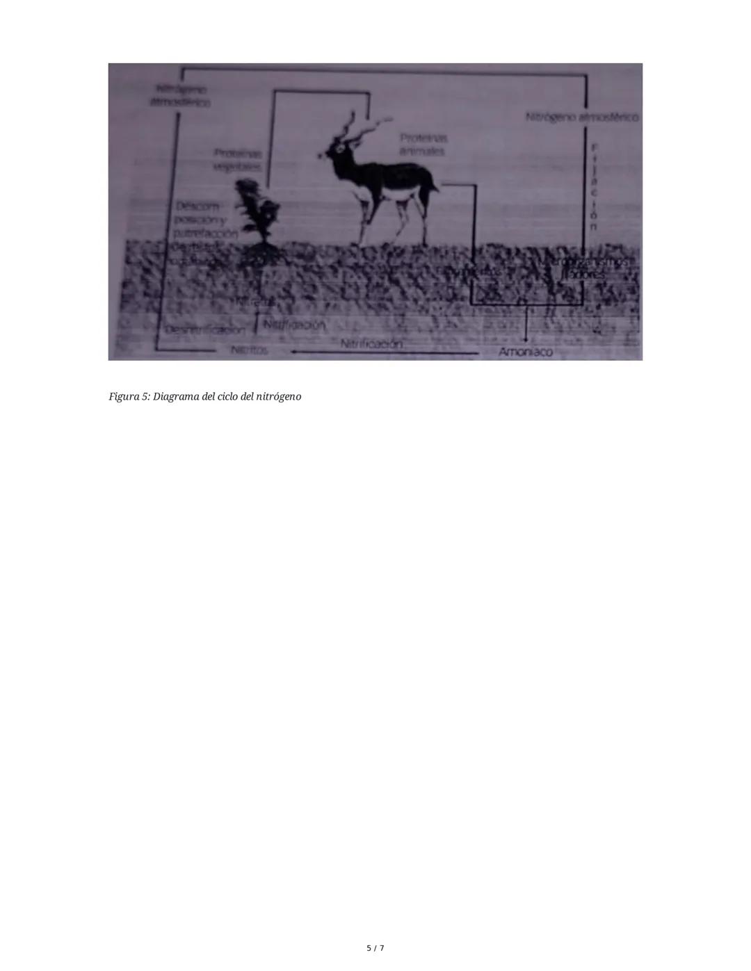 Historia y Organización de la Tabla Periódica
1. Historia de la Ley Periódica
Los primeros intentos de organizar los elementos químicos se b