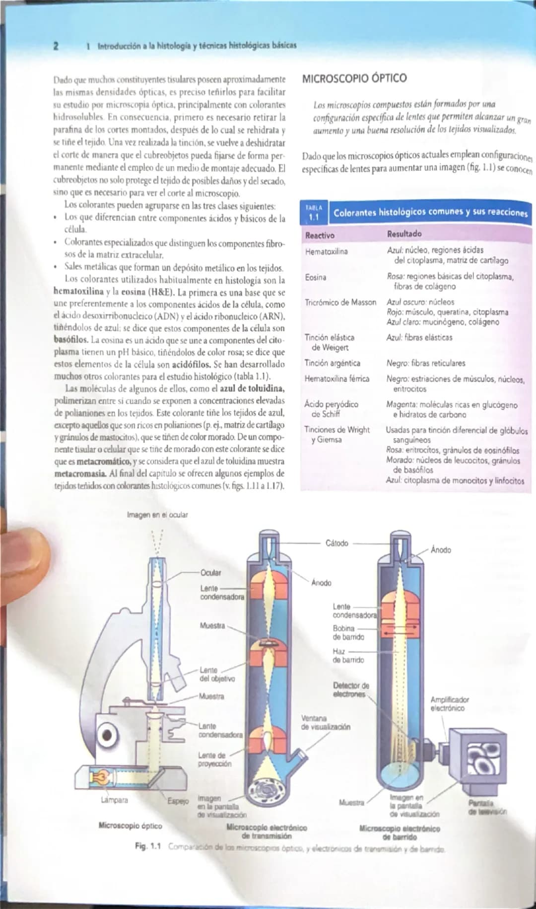 # 1
Introducción a la histología
y técnicas histológicas básicas
La histología es el estudio microscópico de los tejidos de organis
mos vivo