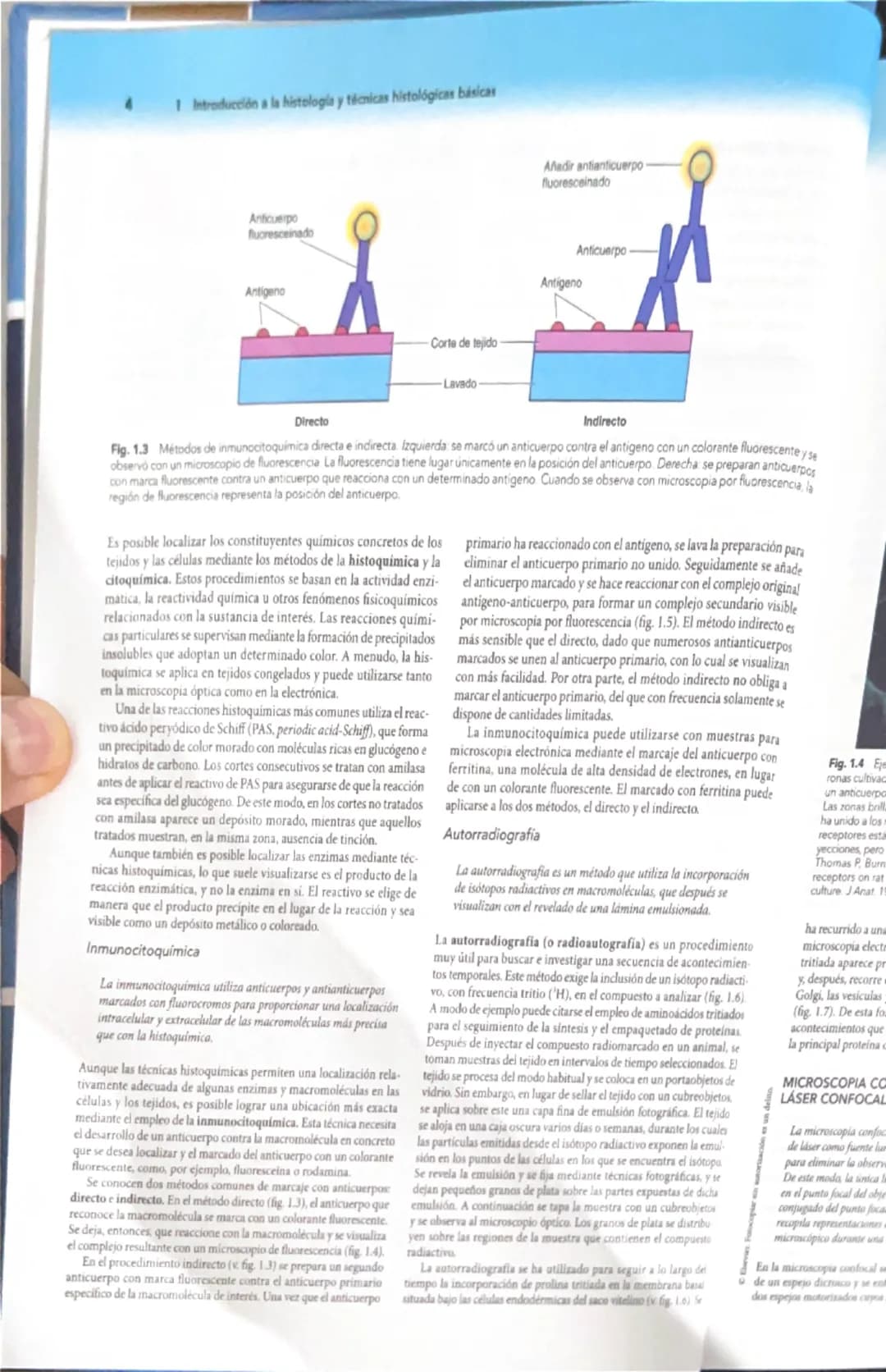 # 1
Introducción a la histología
y técnicas histológicas básicas
La histología es el estudio microscópico de los tejidos de organis
mos vivo