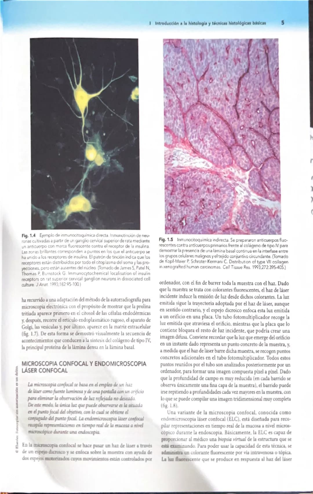 # 1
Introducción a la histología
y técnicas histológicas básicas
La histología es el estudio microscópico de los tejidos de organis
mos vivo