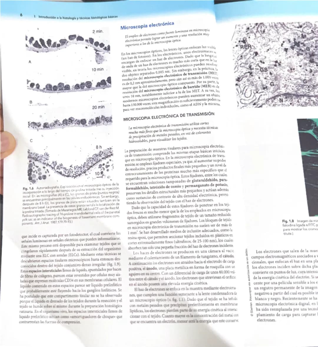 # 1
Introducción a la histología
y técnicas histológicas básicas
La histología es el estudio microscópico de los tejidos de organis
mos vivo