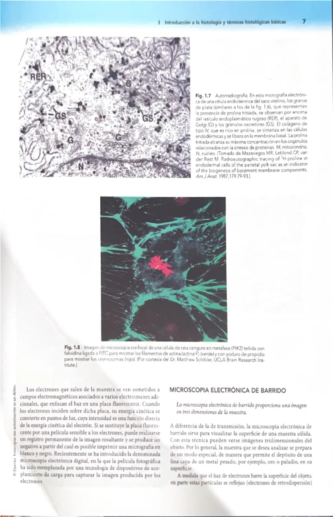 # 1
Introducción a la histología
y técnicas histológicas básicas
La histología es el estudio microscópico de los tejidos de organis
mos vivo