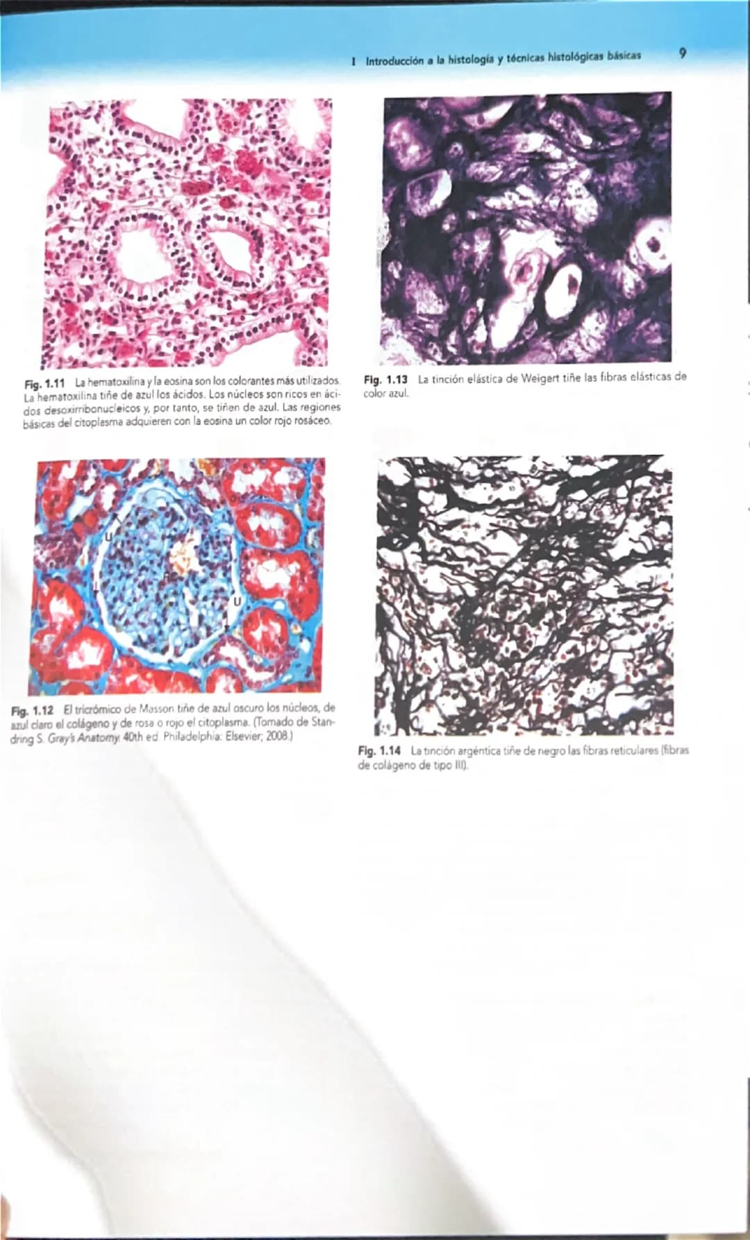 # 1
Introducción a la histología
y técnicas histológicas básicas
La histología es el estudio microscópico de los tejidos de organis
mos vivo