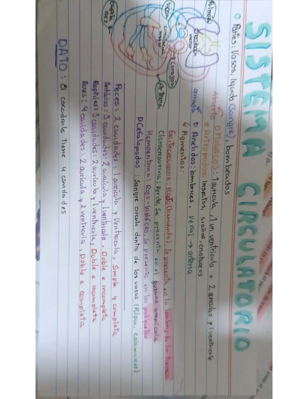 Flashcard