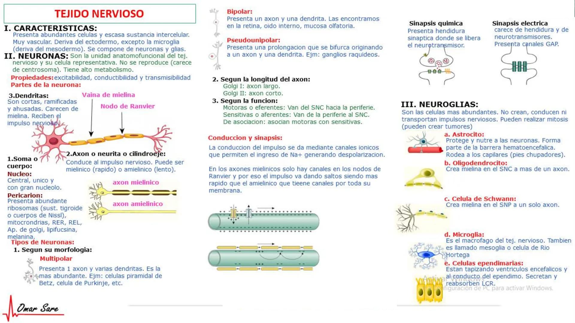 INTRODUCCIÓN A LA HISTOLOGÍA
I. DEFINICION DE HISTOLOGIA:
Etimologicamente deriva de histo (tejido) y
logos (tratado o estudio).
Es la cienc