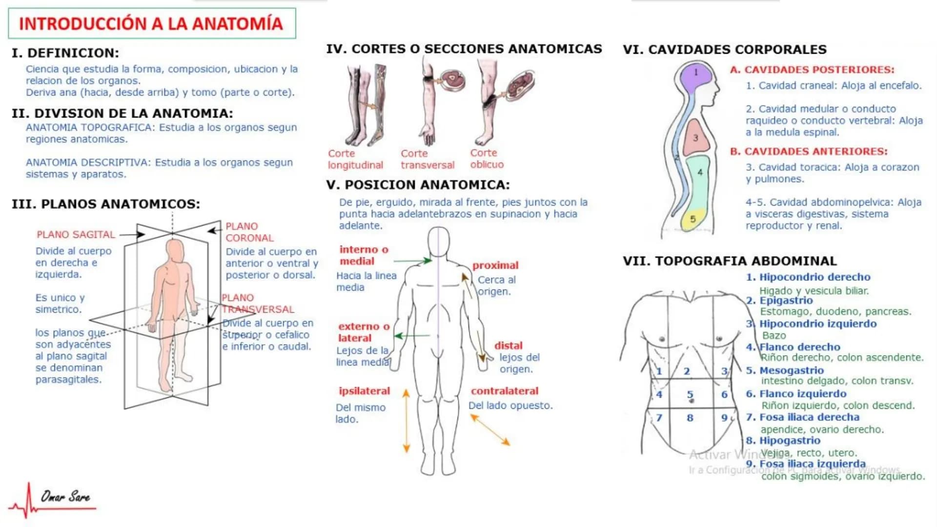 INTRODUCCIÓN A LA HISTOLOGÍA
I. DEFINICION DE HISTOLOGIA:
Etimologicamente deriva de histo (tejido) y
logos (tratado o estudio).
Es la cienc