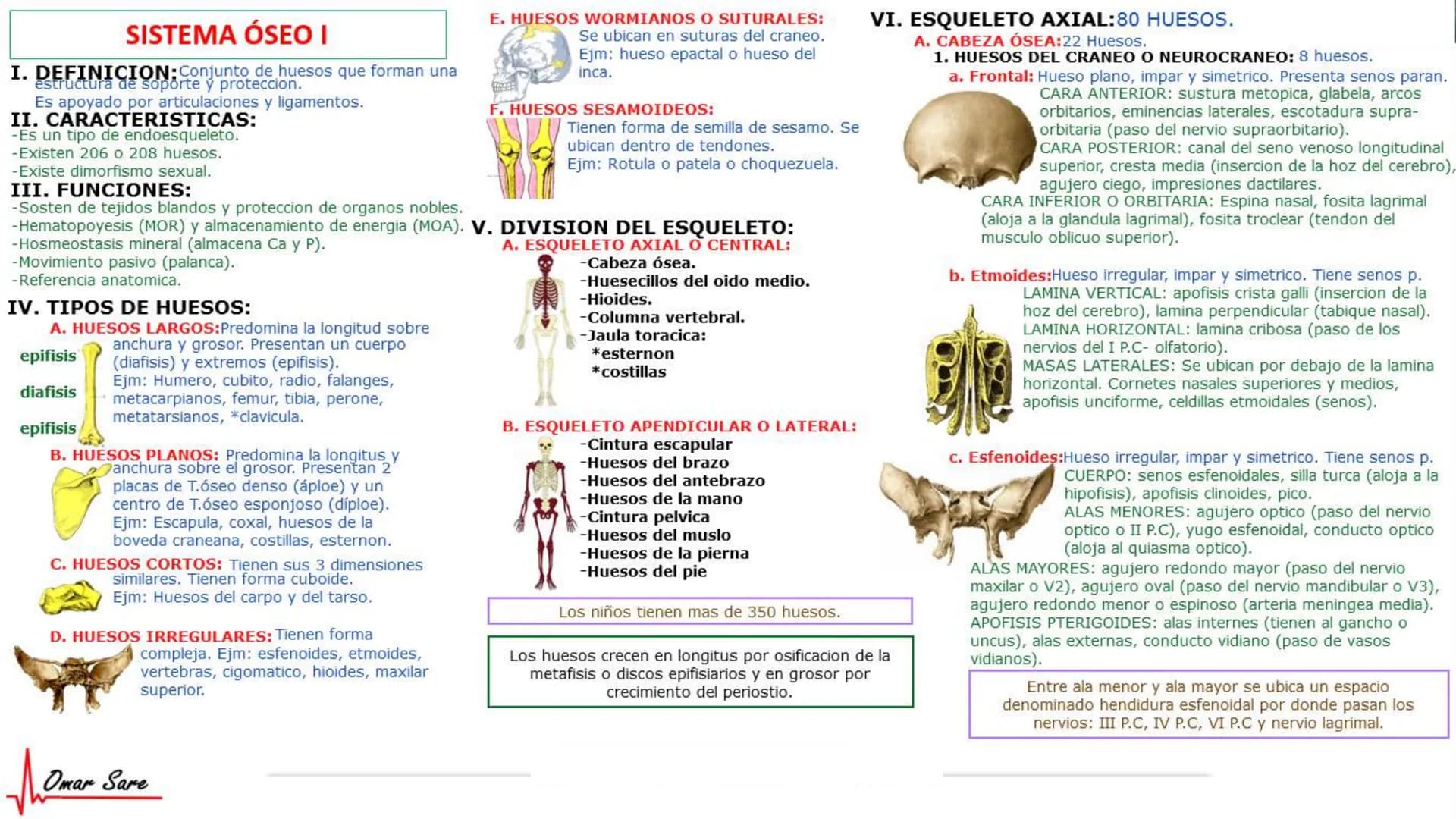 INTRODUCCIÓN A LA HISTOLOGÍA
I. DEFINICION DE HISTOLOGIA:
Etimologicamente deriva de histo (tejido) y
logos (tratado o estudio).
Es la cienc