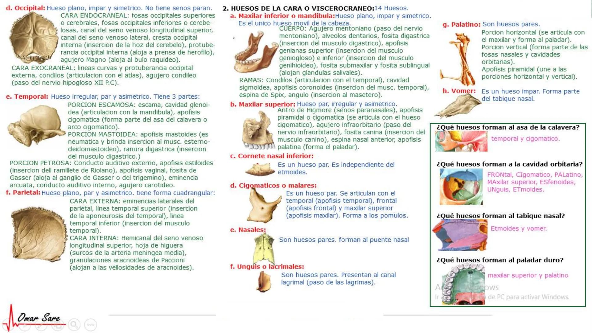 INTRODUCCIÓN A LA HISTOLOGÍA
I. DEFINICION DE HISTOLOGIA:
Etimologicamente deriva de histo (tejido) y
logos (tratado o estudio).
Es la cienc