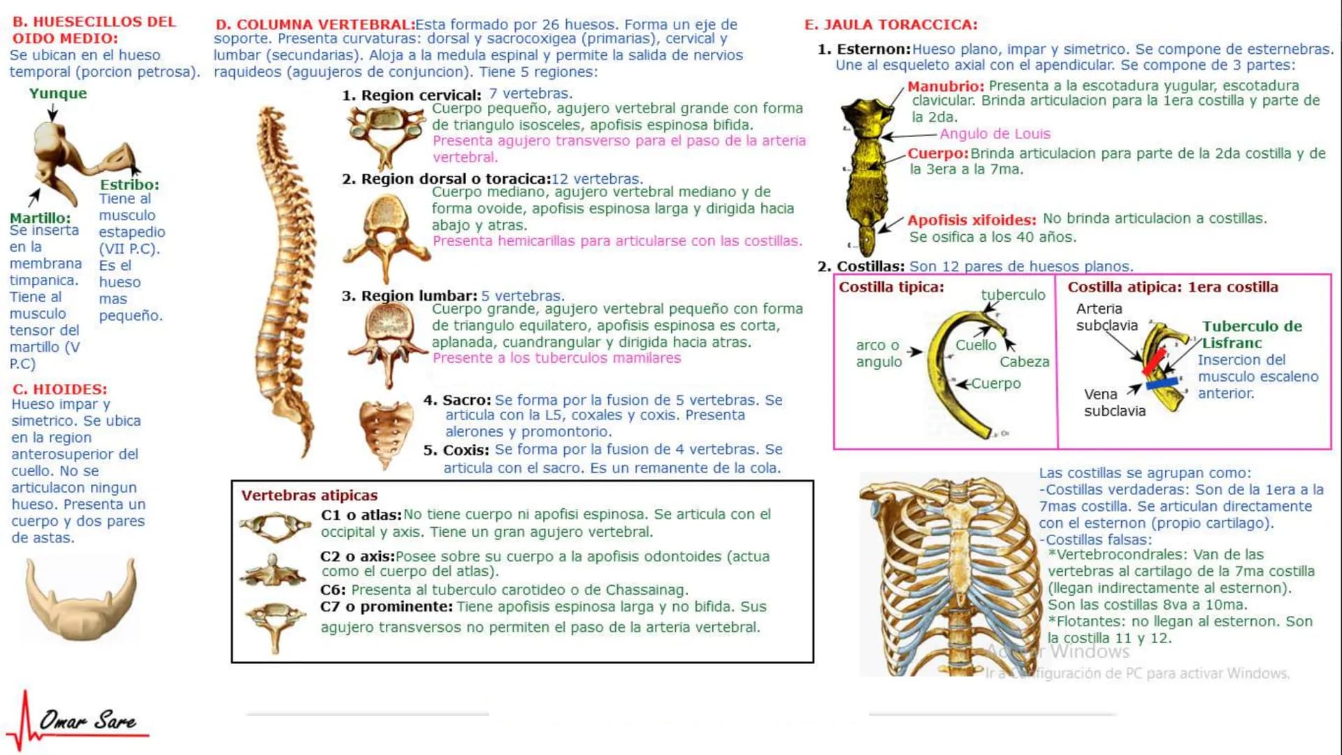 INTRODUCCIÓN A LA HISTOLOGÍA
I. DEFINICION DE HISTOLOGIA:
Etimologicamente deriva de histo (tejido) y
logos (tratado o estudio).
Es la cienc