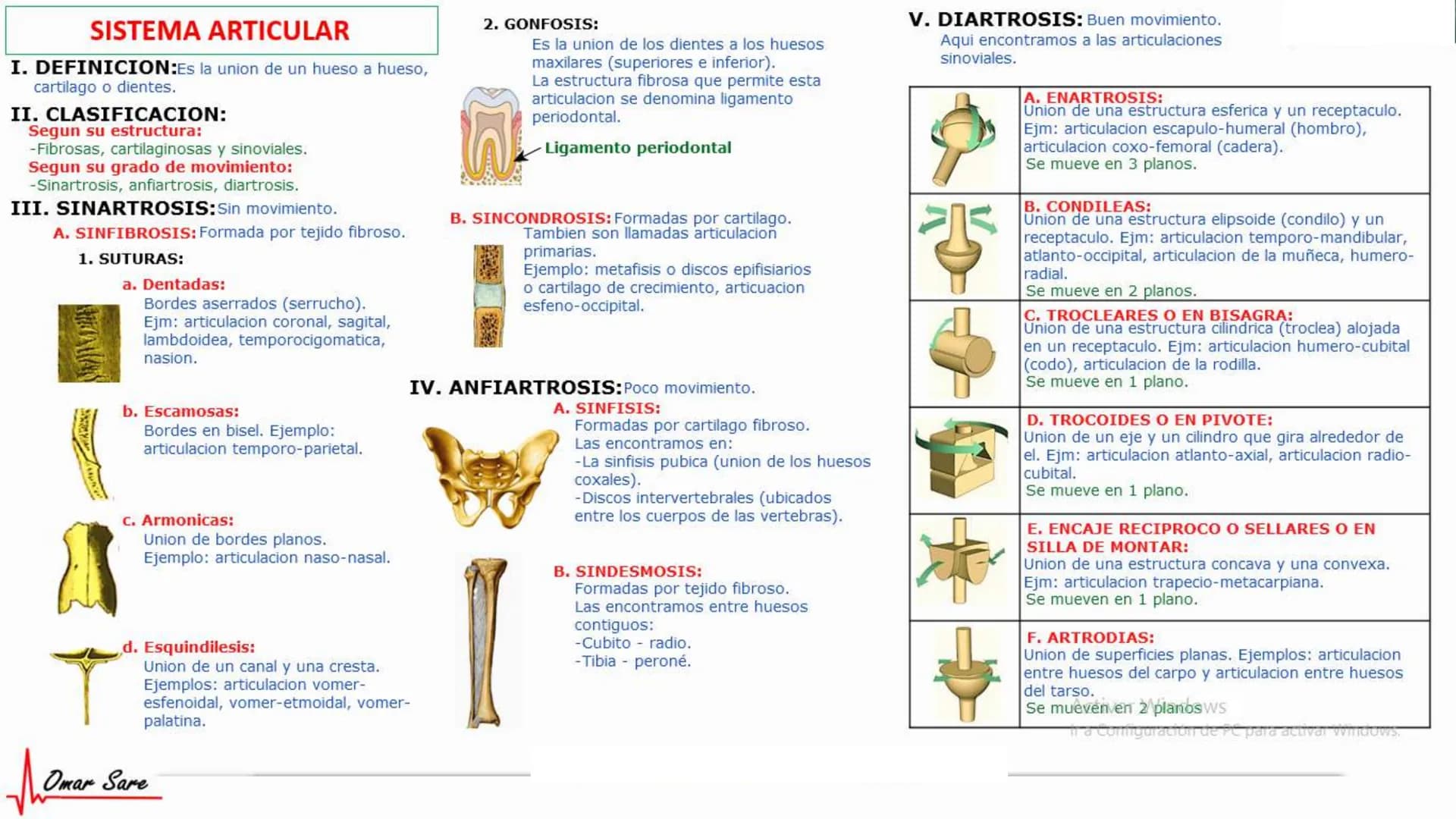 INTRODUCCIÓN A LA HISTOLOGÍA
I. DEFINICION DE HISTOLOGIA:
Etimologicamente deriva de histo (tejido) y
logos (tratado o estudio).
Es la cienc