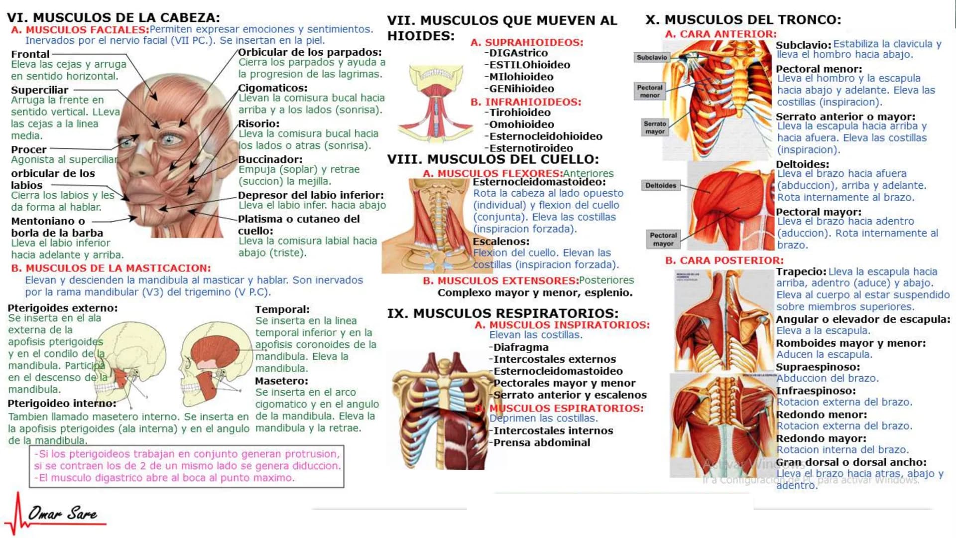INTRODUCCIÓN A LA HISTOLOGÍA
I. DEFINICION DE HISTOLOGIA:
Etimologicamente deriva de histo (tejido) y
logos (tratado o estudio).
Es la cienc