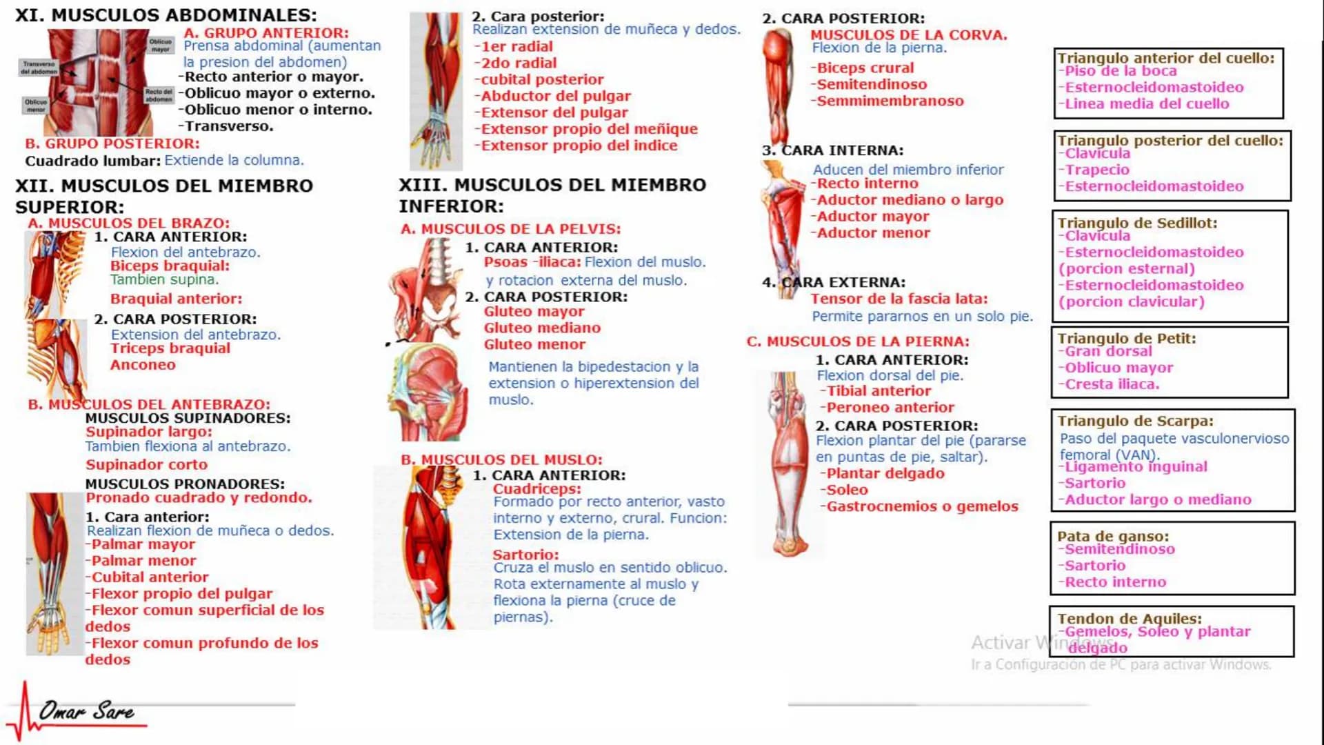 INTRODUCCIÓN A LA HISTOLOGÍA
I. DEFINICION DE HISTOLOGIA:
Etimologicamente deriva de histo (tejido) y
logos (tratado o estudio).
Es la cienc