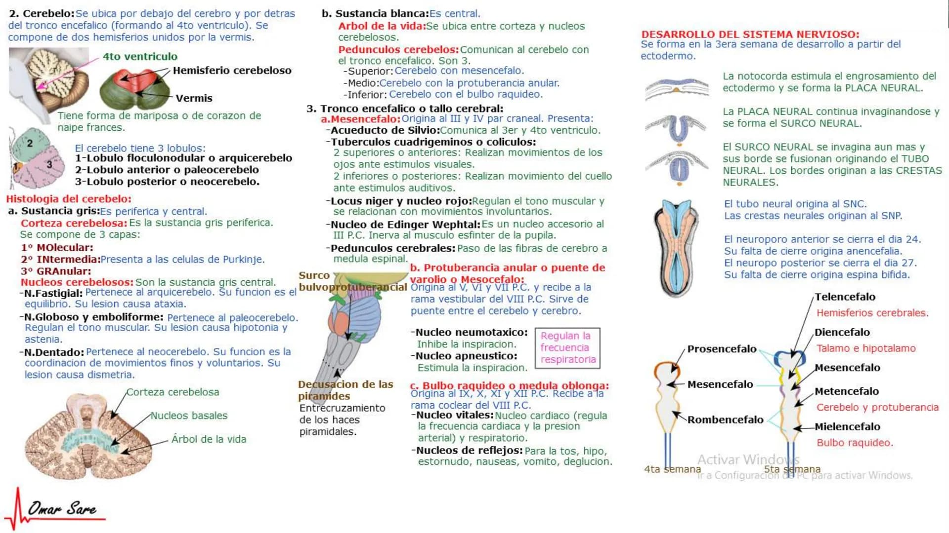 INTRODUCCIÓN A LA HISTOLOGÍA
I. DEFINICION DE HISTOLOGIA:
Etimologicamente deriva de histo (tejido) y
logos (tratado o estudio).
Es la cienc