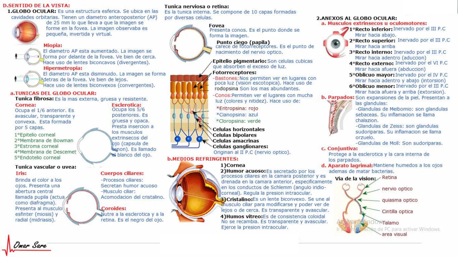 INTRODUCCIÓN A LA HISTOLOGÍA
I. DEFINICION DE HISTOLOGIA:
Etimologicamente deriva de histo (tejido) y
logos (tratado o estudio).
Es la cienc