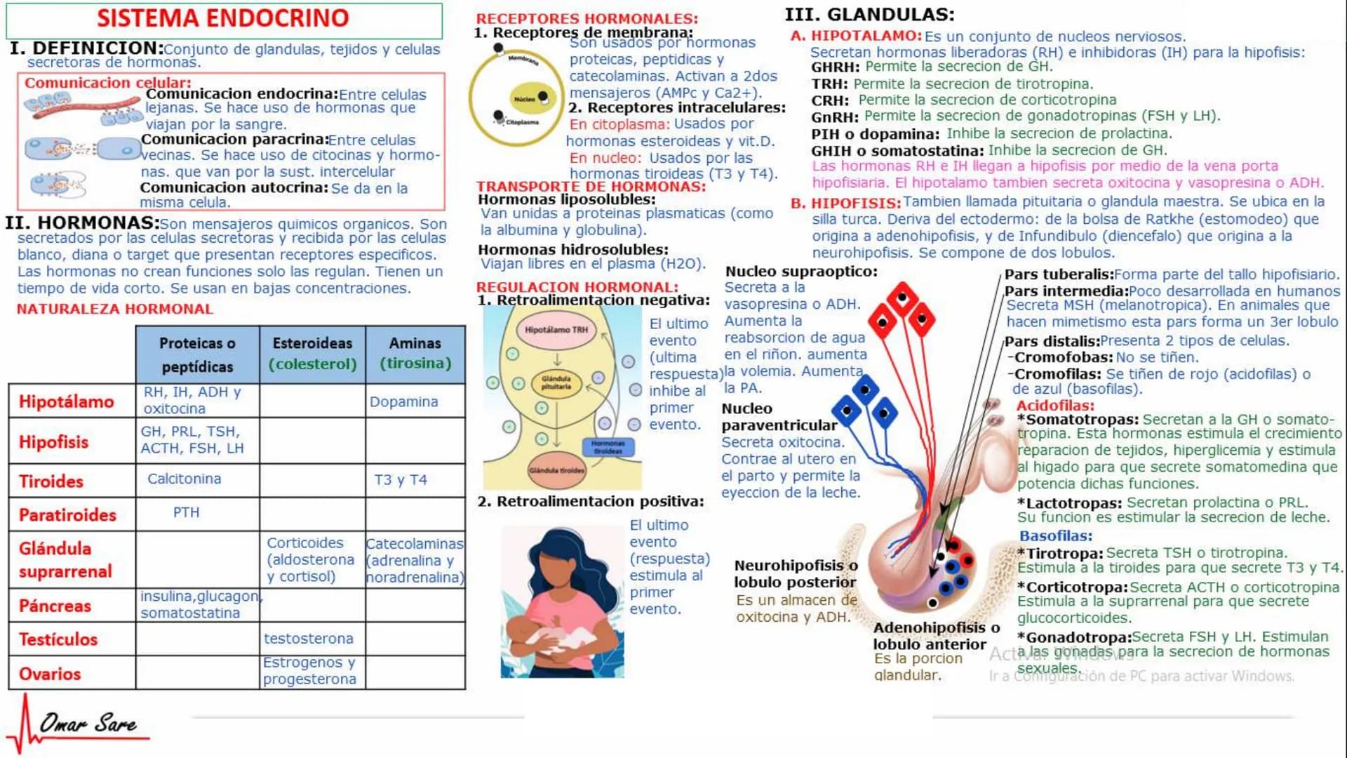 INTRODUCCIÓN A LA HISTOLOGÍA
I. DEFINICION DE HISTOLOGIA:
Etimologicamente deriva de histo (tejido) y
logos (tratado o estudio).
Es la cienc