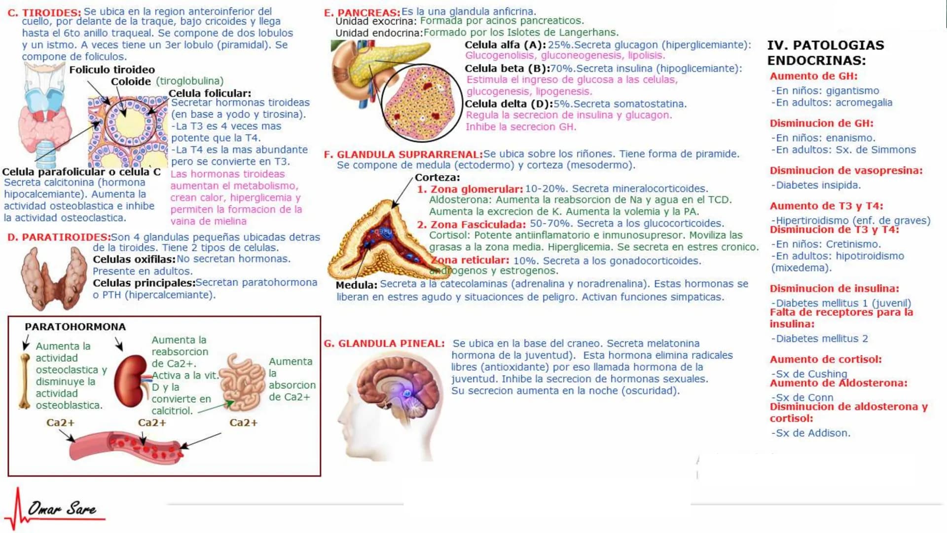 INTRODUCCIÓN A LA HISTOLOGÍA
I. DEFINICION DE HISTOLOGIA:
Etimologicamente deriva de histo (tejido) y
logos (tratado o estudio).
Es la cienc