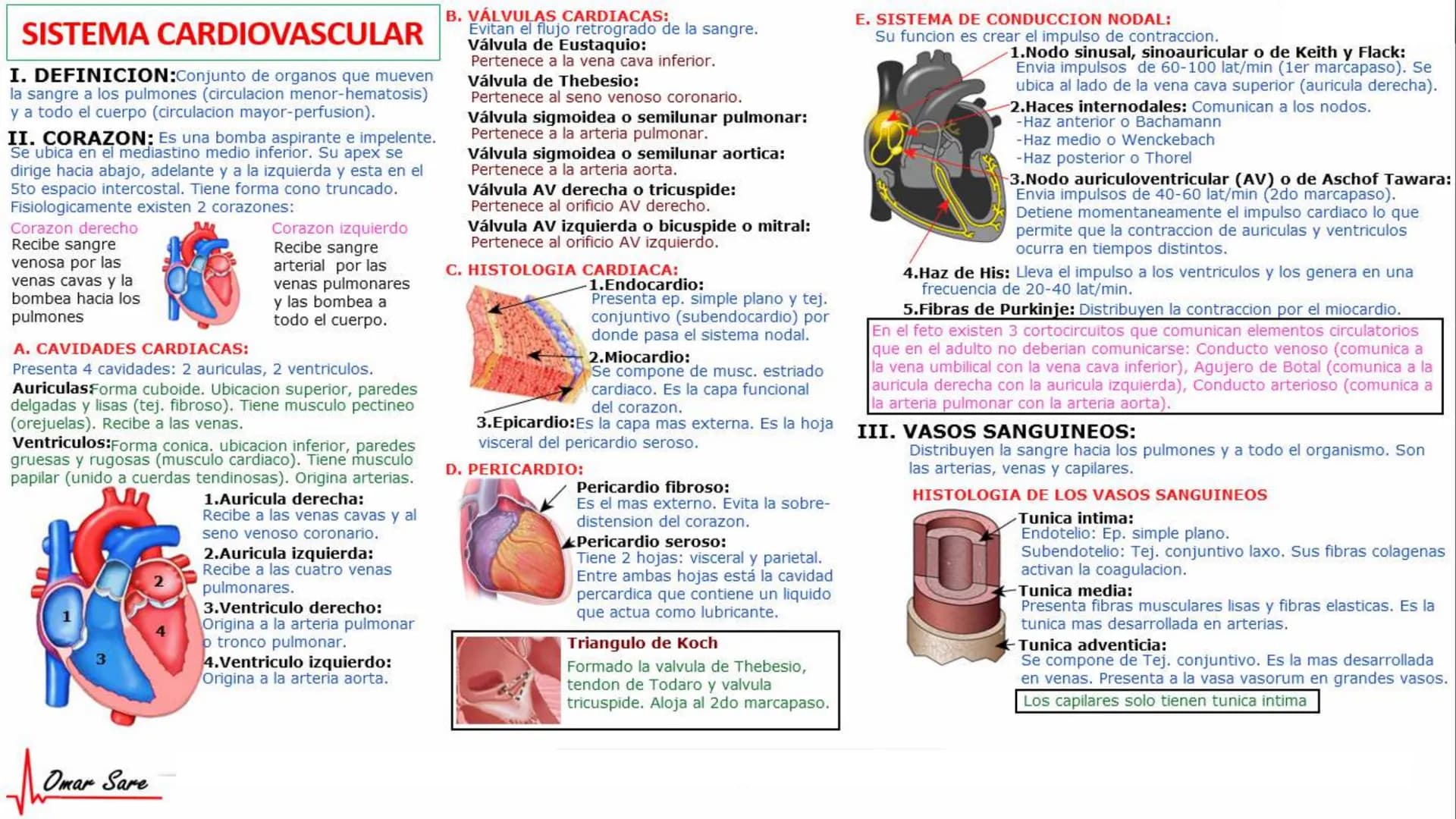 INTRODUCCIÓN A LA HISTOLOGÍA
I. DEFINICION DE HISTOLOGIA:
Etimologicamente deriva de histo (tejido) y
logos (tratado o estudio).
Es la cienc