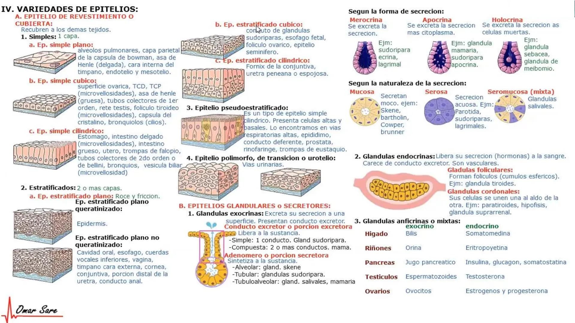 INTRODUCCIÓN A LA HISTOLOGÍA
I. DEFINICION DE HISTOLOGIA:
Etimologicamente deriva de histo (tejido) y
logos (tratado o estudio).
Es la cienc