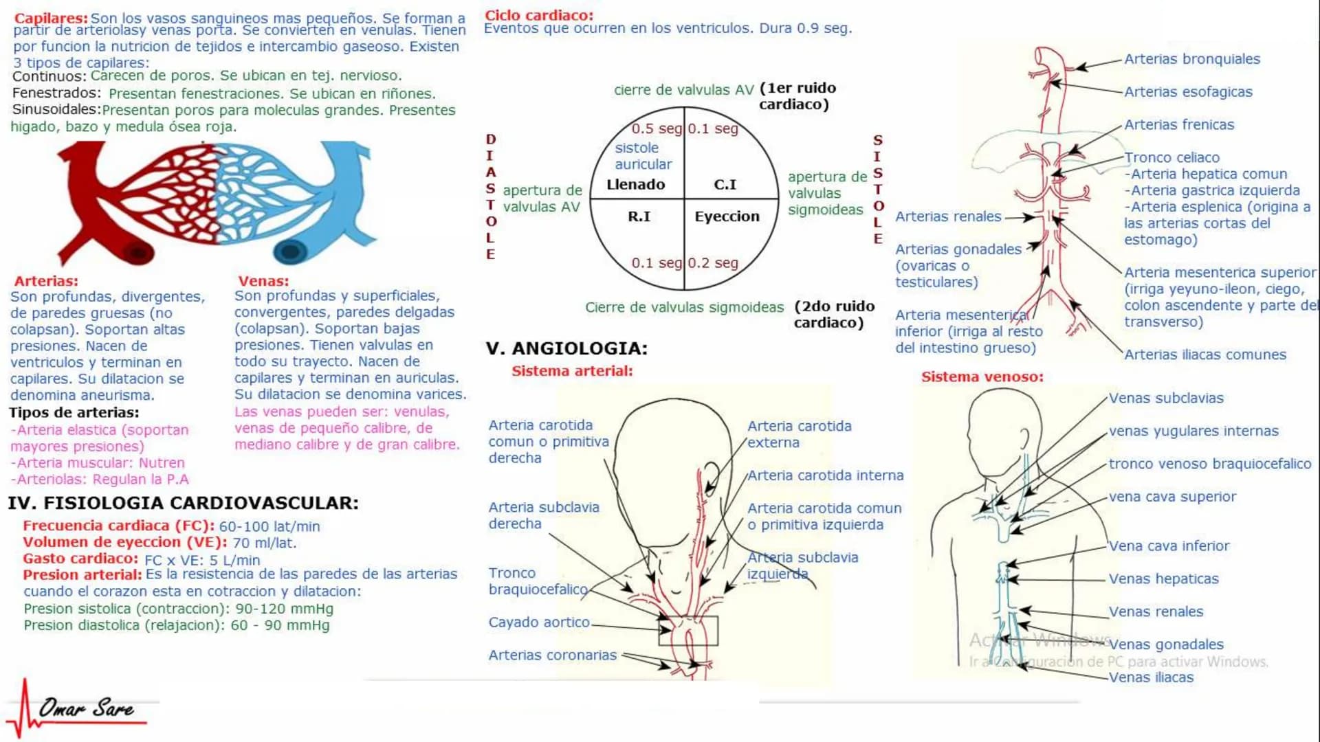 INTRODUCCIÓN A LA HISTOLOGÍA
I. DEFINICION DE HISTOLOGIA:
Etimologicamente deriva de histo (tejido) y
logos (tratado o estudio).
Es la cienc