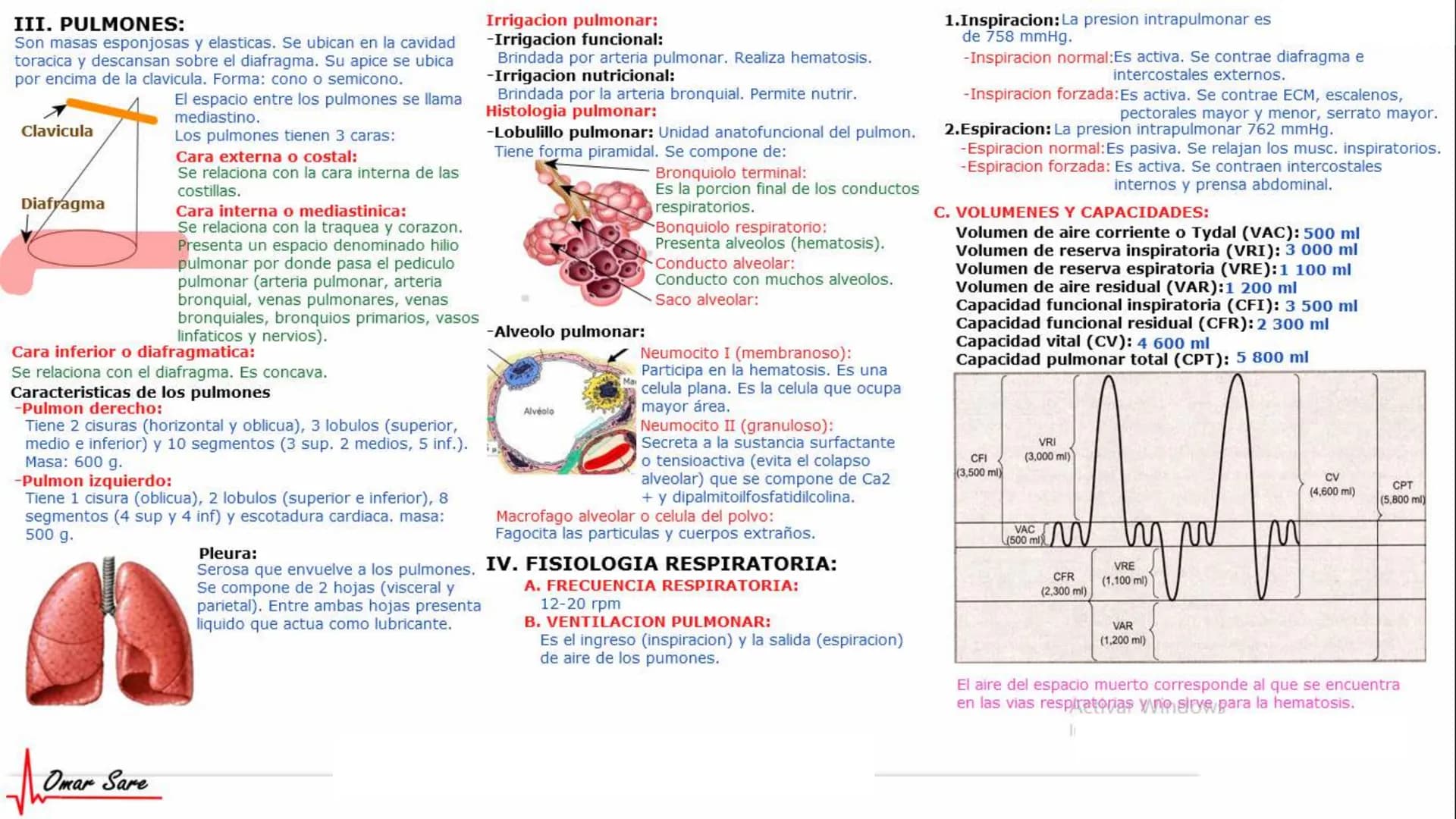 INTRODUCCIÓN A LA HISTOLOGÍA
I. DEFINICION DE HISTOLOGIA:
Etimologicamente deriva de histo (tejido) y
logos (tratado o estudio).
Es la cienc