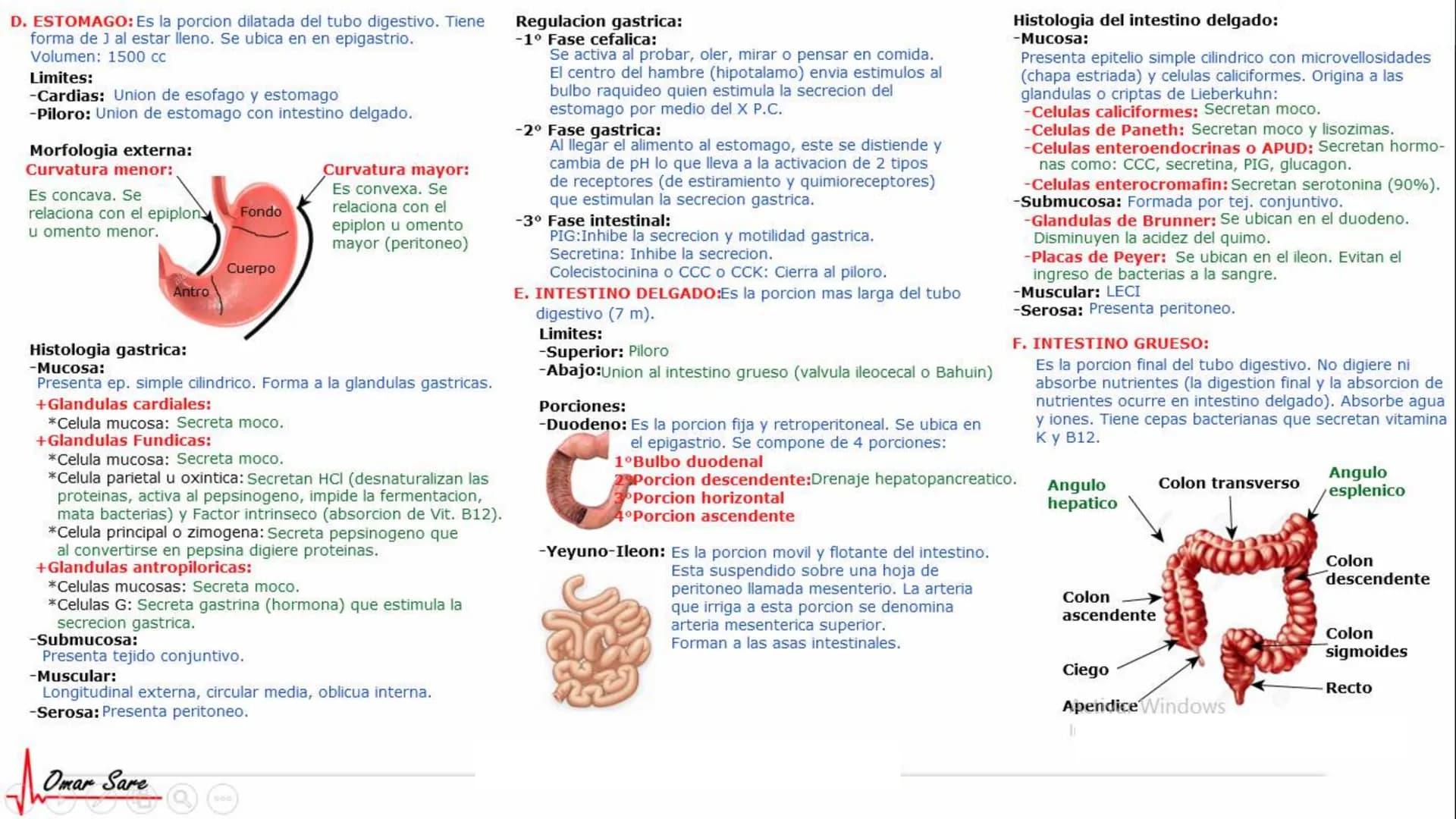 INTRODUCCIÓN A LA HISTOLOGÍA
I. DEFINICION DE HISTOLOGIA:
Etimologicamente deriva de histo (tejido) y
logos (tratado o estudio).
Es la cienc