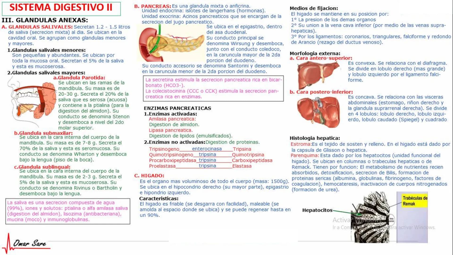 INTRODUCCIÓN A LA HISTOLOGÍA
I. DEFINICION DE HISTOLOGIA:
Etimologicamente deriva de histo (tejido) y
logos (tratado o estudio).
Es la cienc