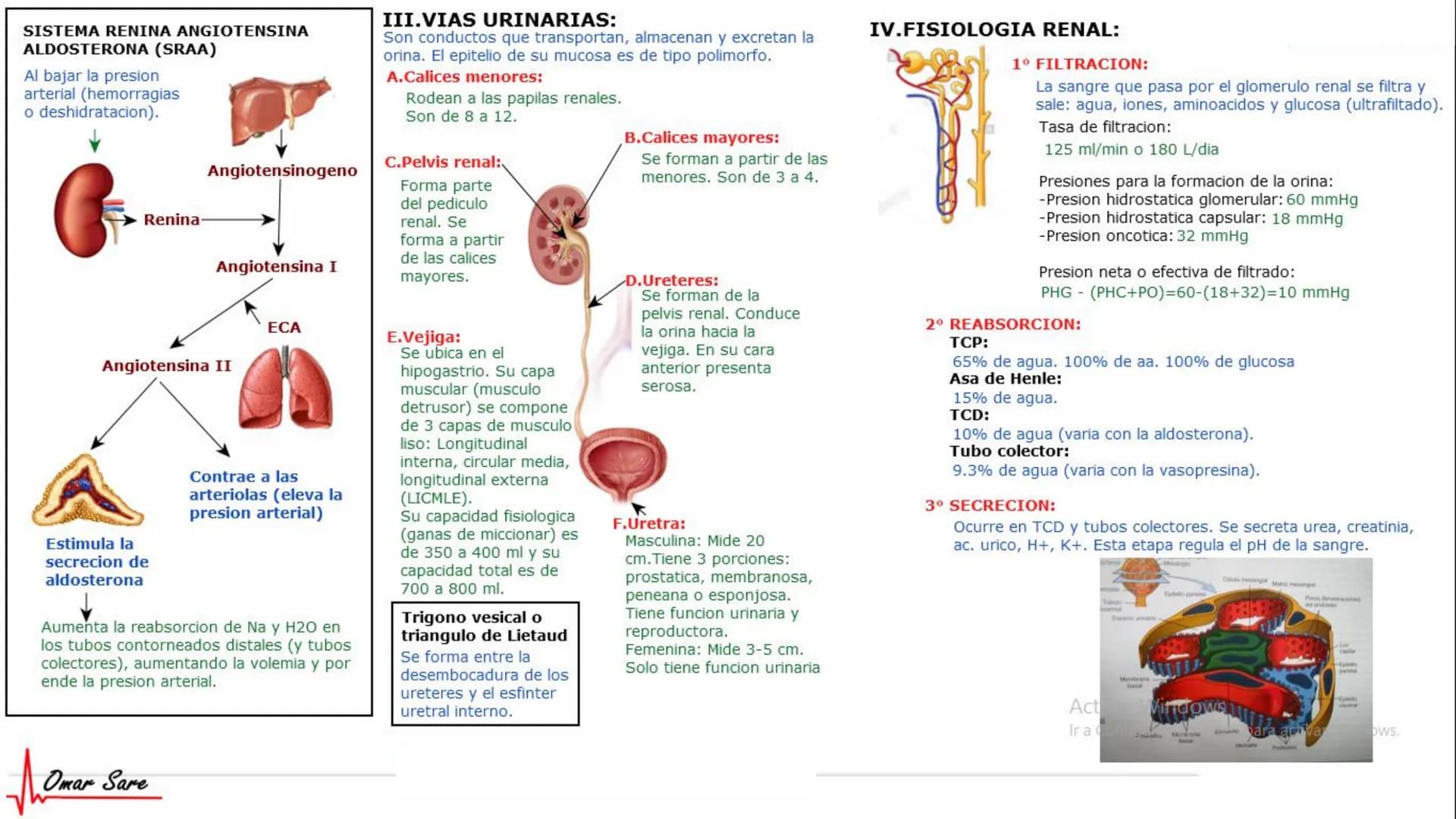 INTRODUCCIÓN A LA HISTOLOGÍA
I. DEFINICION DE HISTOLOGIA:
Etimologicamente deriva de histo (tejido) y
logos (tratado o estudio).
Es la cienc