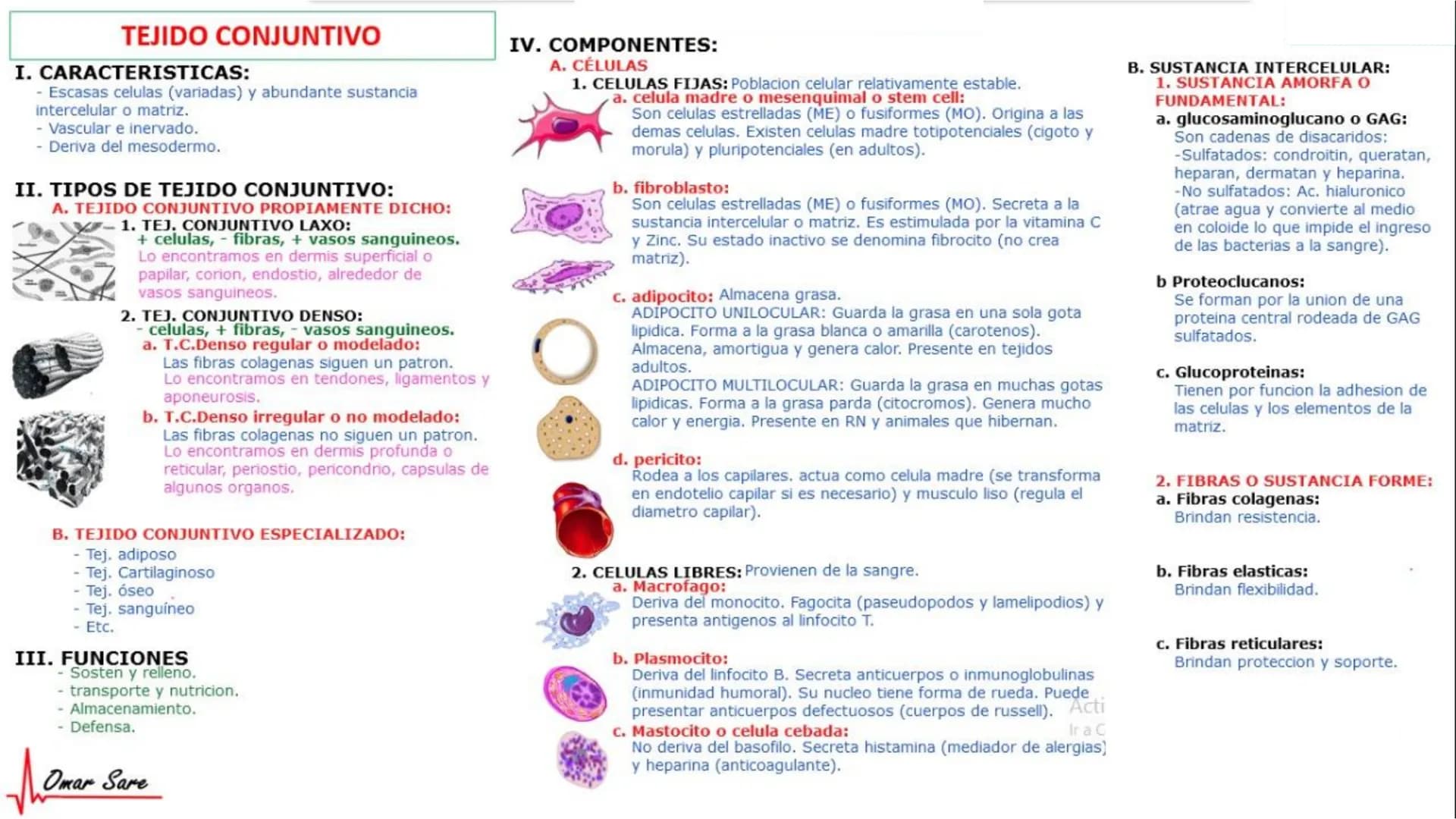 INTRODUCCIÓN A LA HISTOLOGÍA
I. DEFINICION DE HISTOLOGIA:
Etimologicamente deriva de histo (tejido) y
logos (tratado o estudio).
Es la cienc