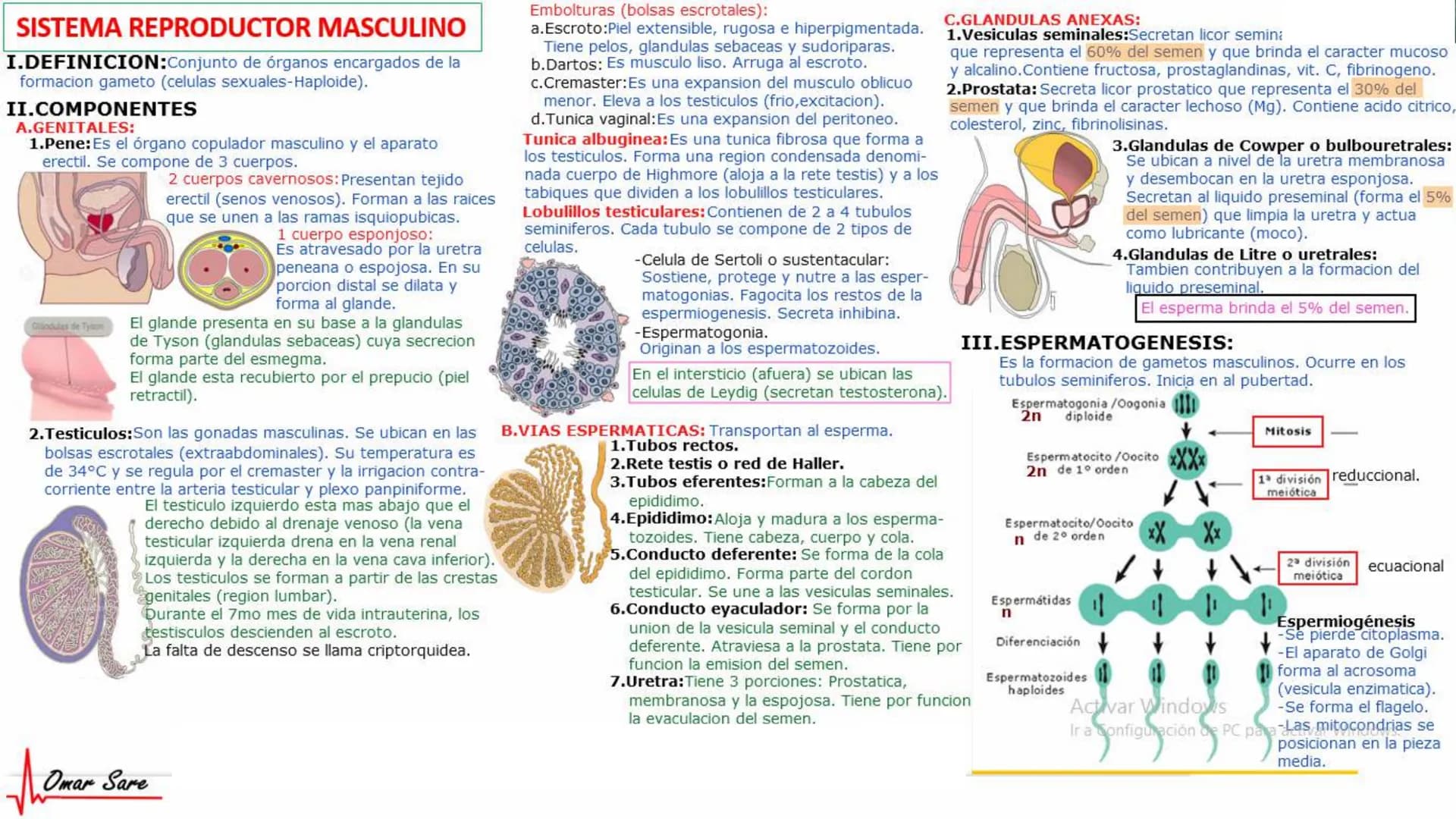 INTRODUCCIÓN A LA HISTOLOGÍA
I. DEFINICION DE HISTOLOGIA:
Etimologicamente deriva de histo (tejido) y
logos (tratado o estudio).
Es la cienc